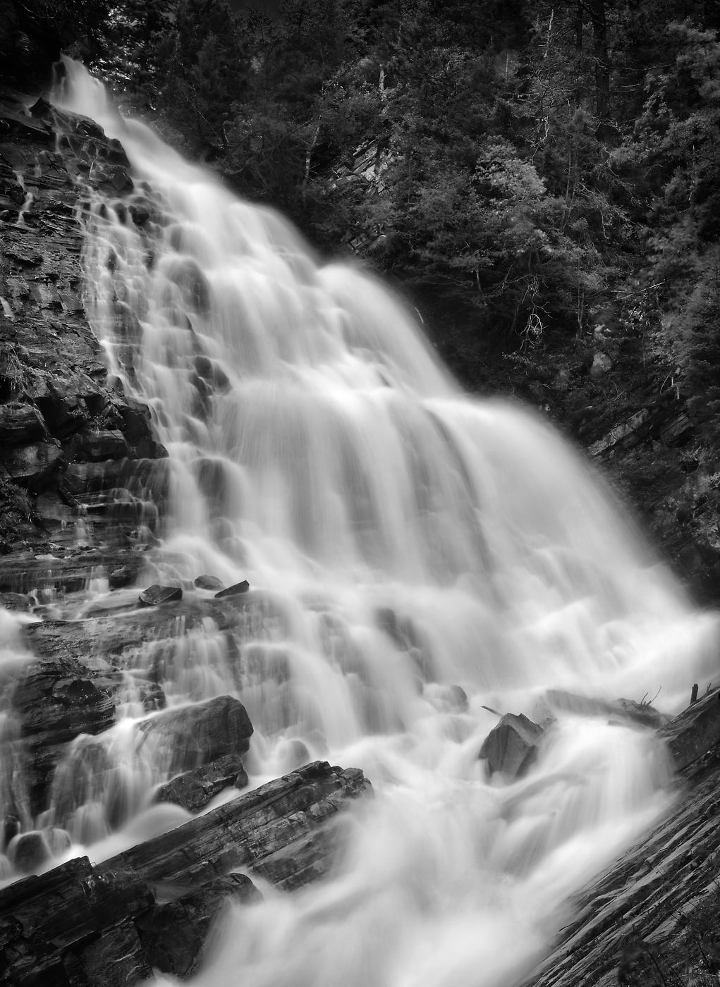 121 megapixels! A very high resolution, large-format VAST photo print of the Bertha Falls waterfall in Waterton Lakes National Park; fine art nature photograph created by Steven Webster in Alberta, Canada.