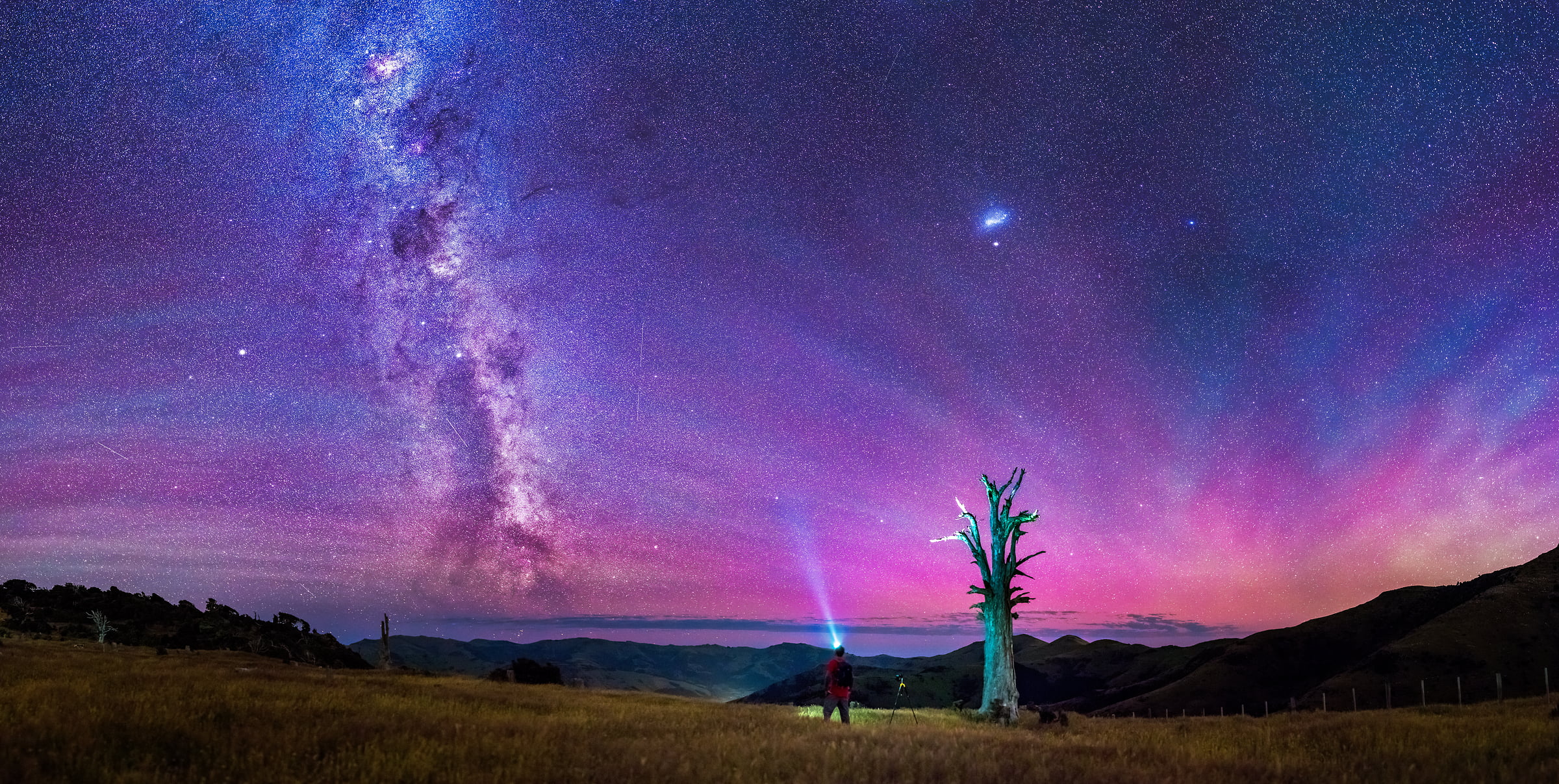 200 megapixels! A very high resolution, large-format VAST photo print of the night sky, milky way, and stars over a dead tree and a person photographing; fine art astrophotography landscape photo created by Paul Wilson in Port Levy Saddle, Canterbury, New Zealand.