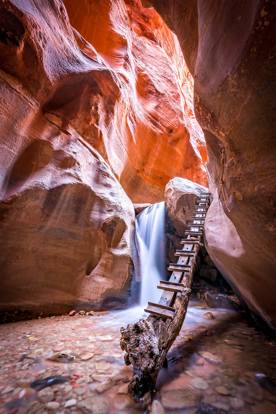 200 megapixels! A very high resolution, large-format VAST photo print of a waterfall, canyon, and ladder in Zion National Park; photo created by Justin Katz in Utah.