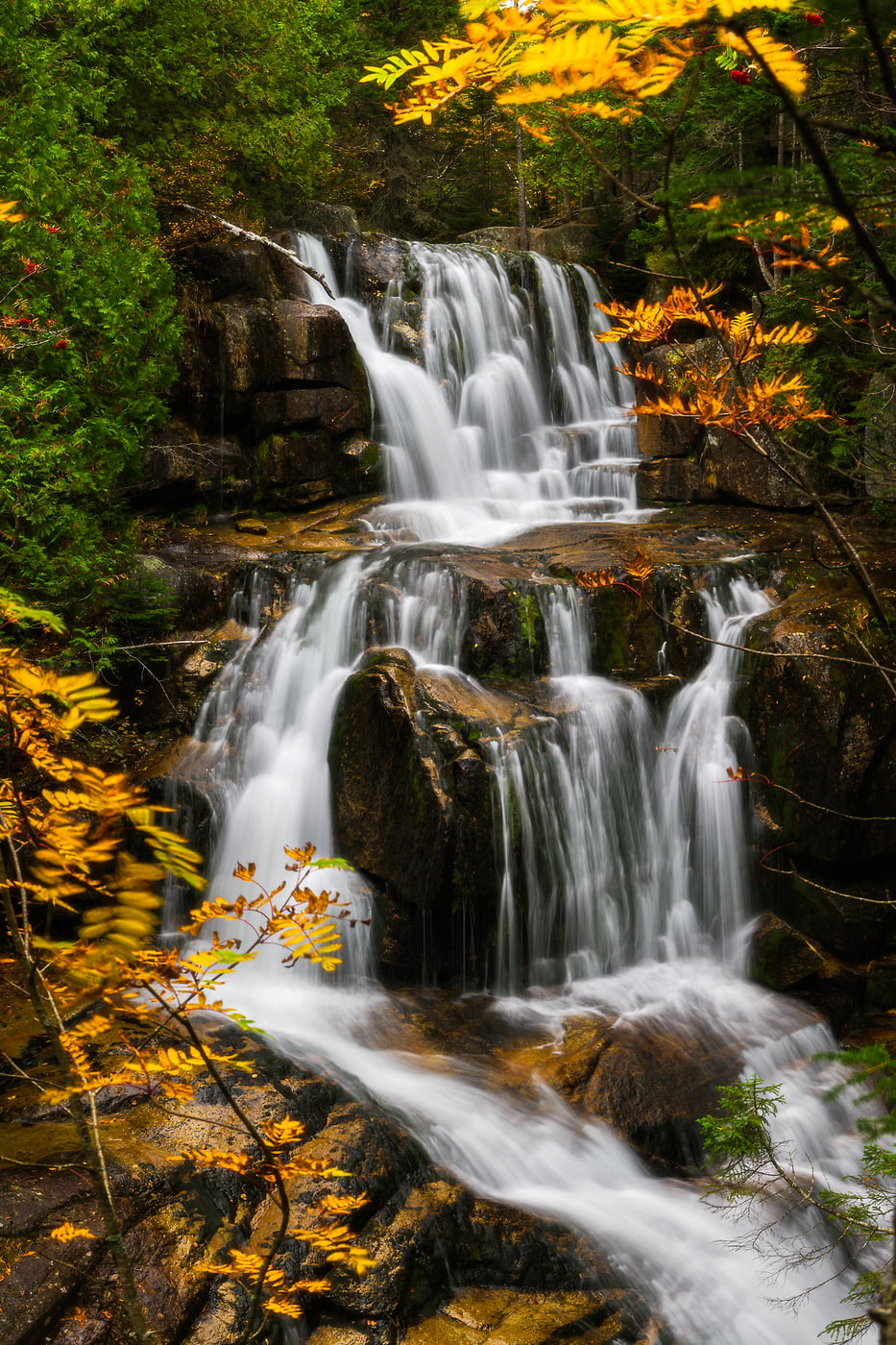 155 megapixels! A very high resolution, large-format photo of a New England waterfall with fall foliage; fine art nature photograph created by Aaron Priest at Katahdin Stream Falls on the Hunt Trail in Baxter State Park, Maine.