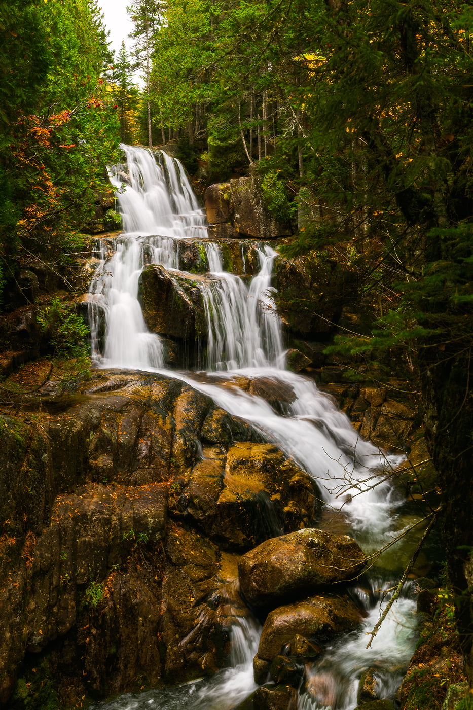241 megapixels! A very high resolution, large-format photo of a New England waterfall with fall foliage; fine art nature photograph created by Aaron Priest at Katahdin Stream Falls on the Hunt Trail in Baxter State Park, Maine.