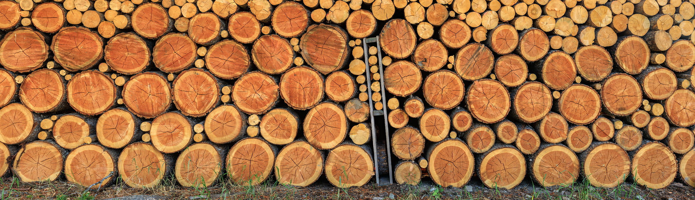 1,128 megapixels! A very high resolution, large-format VAST photo of cut wood stacked in a pile; outdoor textures photograph created by Scott Dimond in Eureka, Montana.
