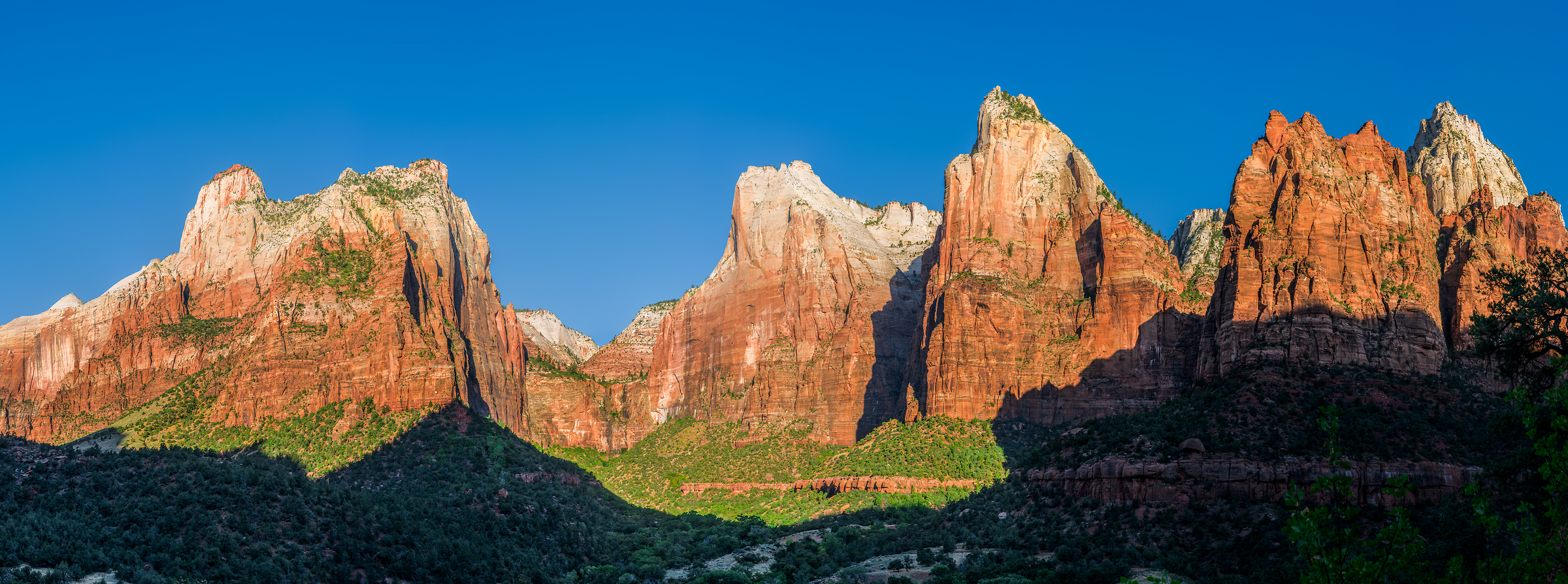 410 megapixels! A very high resolution, large-format landscape photo perfect for a large-format wall covering; landscape photogrpah created by Jim Tarpo in Zion National Park, Utah.