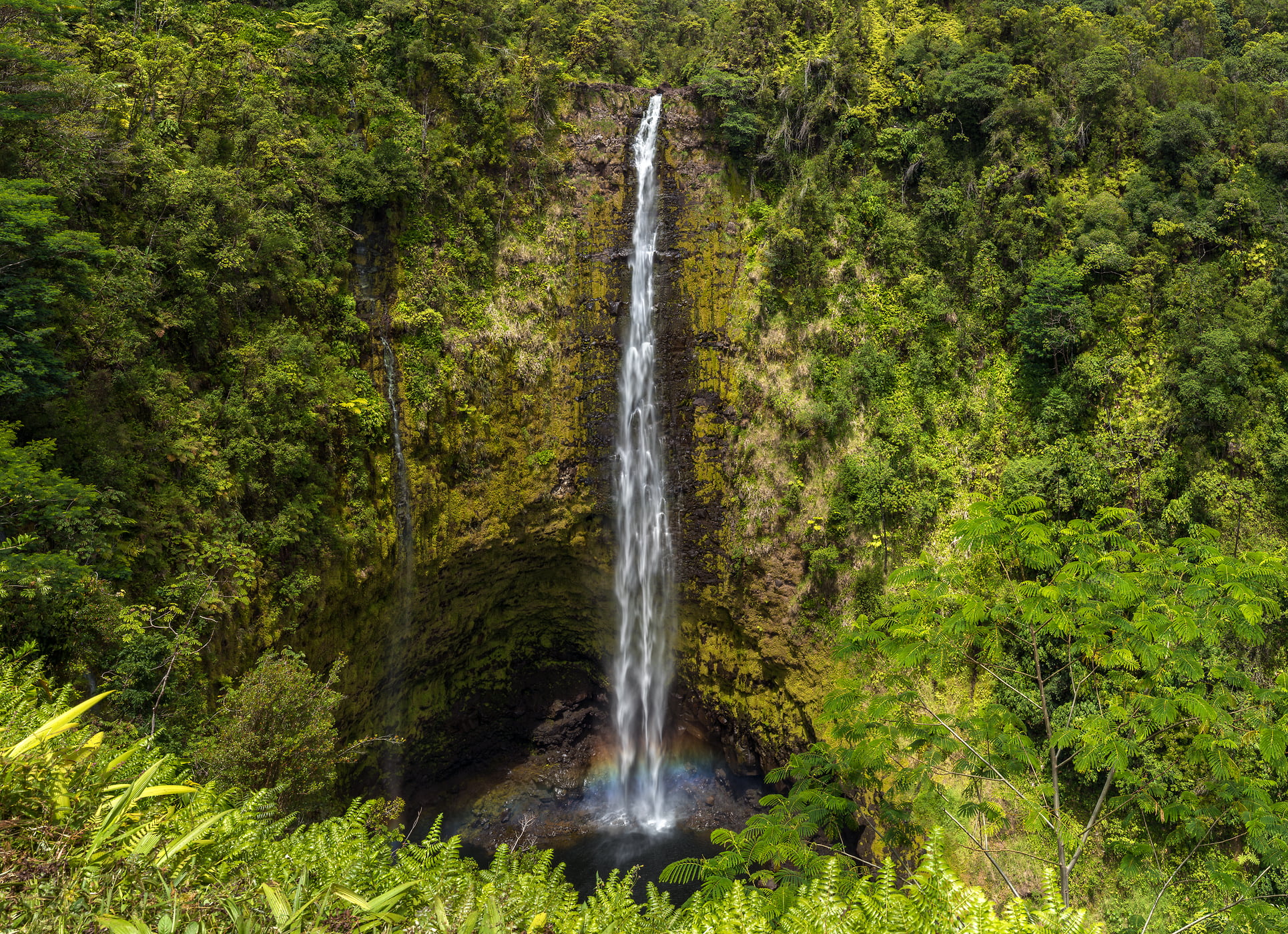 194 megapixels! A very high resolution, large-format VAST photo of a tropical waterfall in a jungle; nature photograph print created by Jim Tarpo in Honomu, Hawaii.