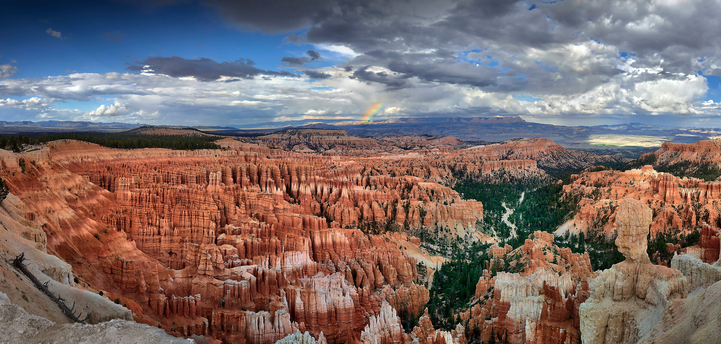 248 megapixels! A very high resolution landscape photo of Bryce Canyon National Park with a rainbow; VAST photo created by Phil Crawshay in Bryce Canyon, Utah, USA.