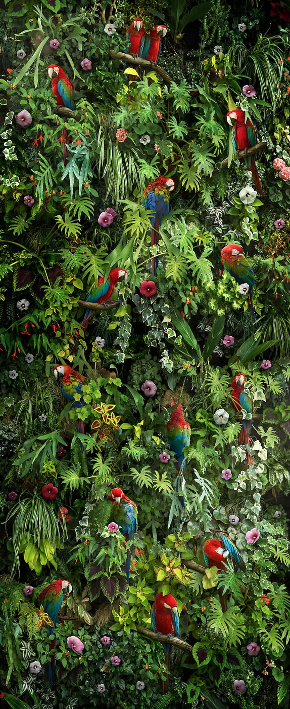 351 megapixels! A very high resolution, large-format VAST photo print of a jungle artwork; photographic artwork created by Nick Pedersen.