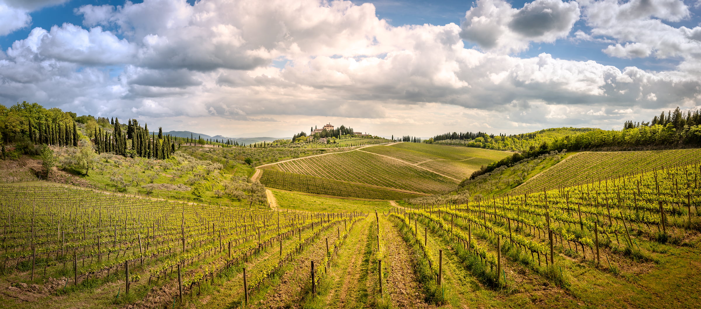 427 megapixels! A very high resolution, large-format VAST photo print of vinyards in Tuscany; photograph created by Justin Katz in Radda in Chianti, Tuscany, Italy.
