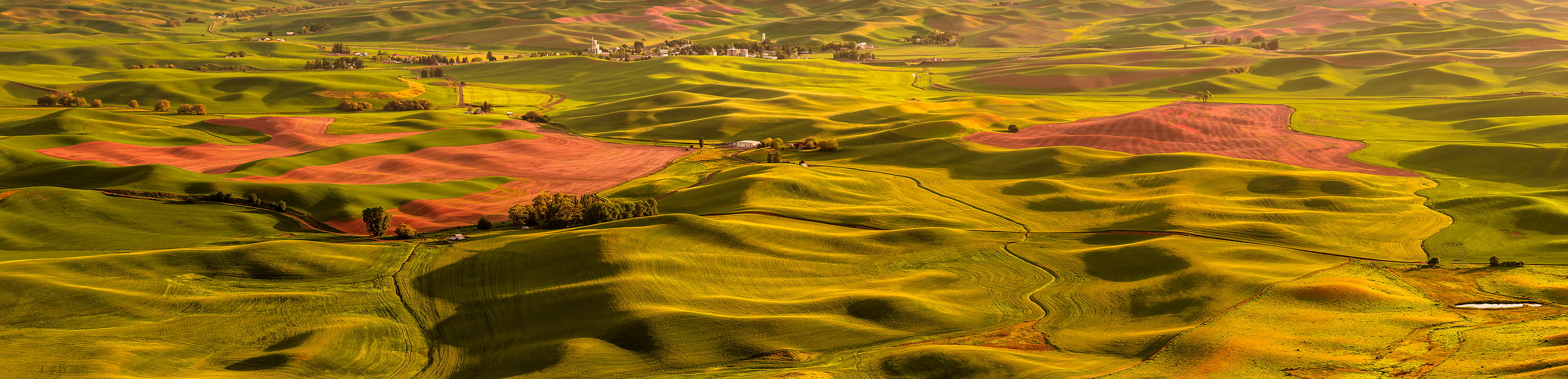 62 megapixels! A very high resolution, large-format VAST photo print of farms; landscape photograph created by Chris Collacott in Palouse, WA, USA.