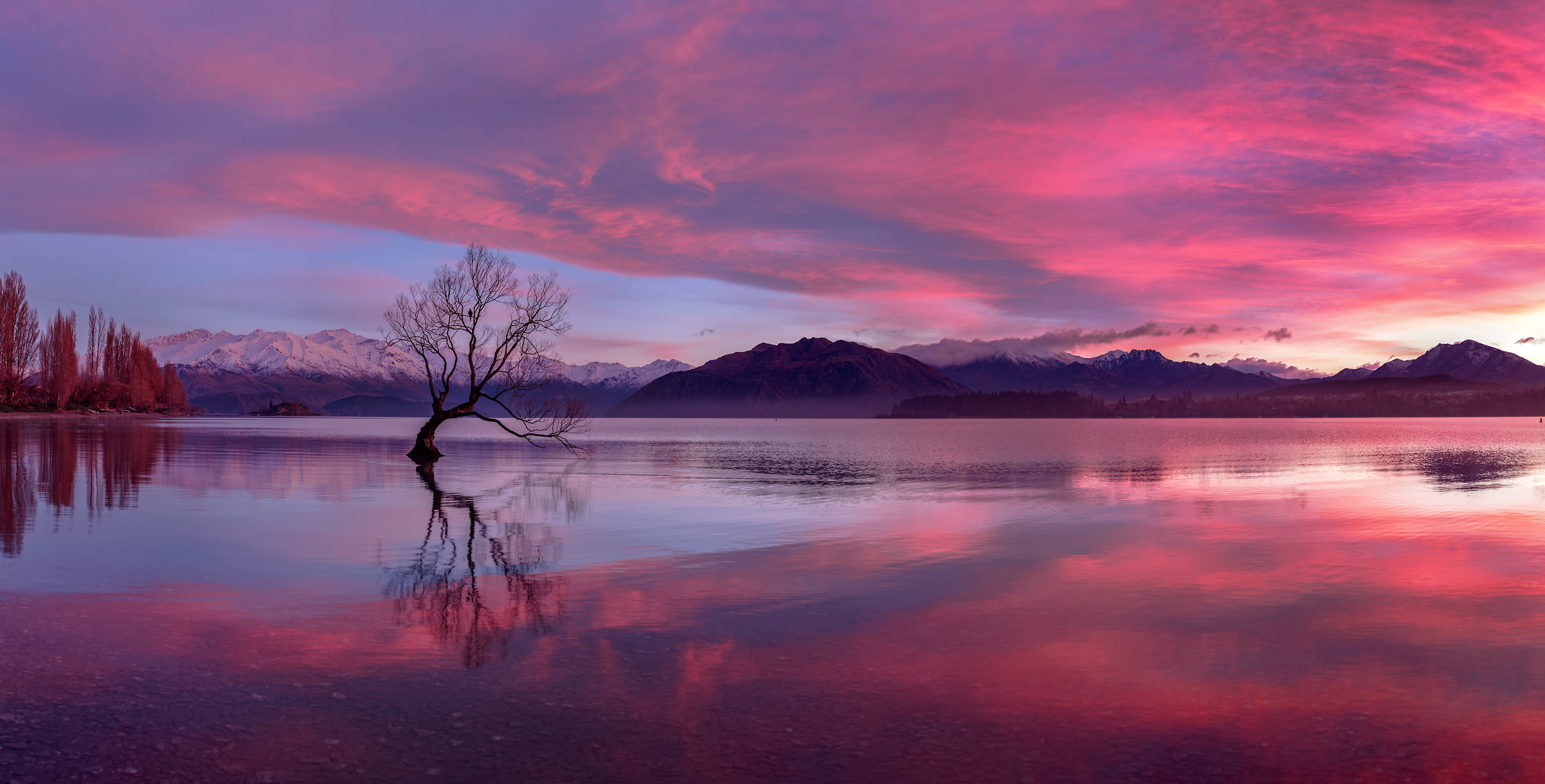 366 megapixels! A very high resolution, large-format VAST photo print of a peaceful water landscape scene; photograph created by Chris Collacott in Wanaka Lake, New Zealand.