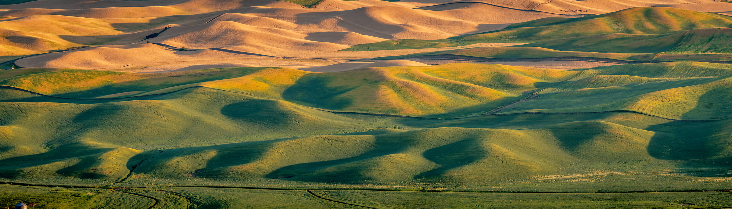 234 megapixels! A very high resolution, large-format VAST photo print of the fields and hills in Palouse, Washington; landscape photograph created by Tim Shields in Steptoe Butte, Washington.