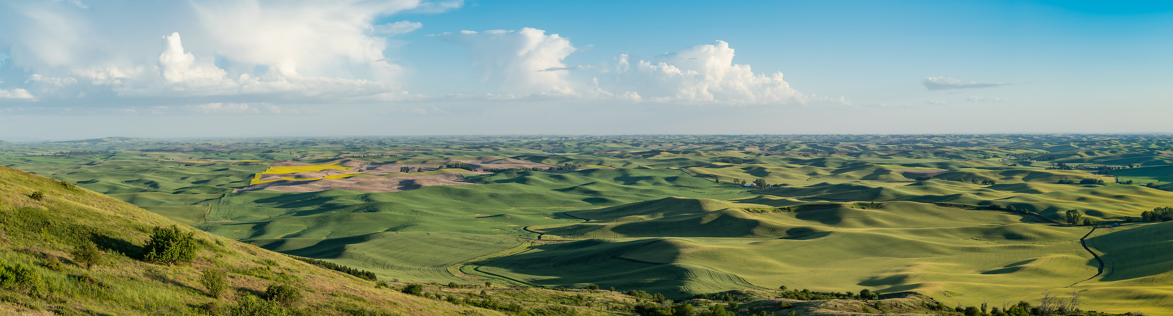 415 megapixels! A very high resolution, large-format VAST photo print of green rolling hills and a blue sky with clouds; landscape photograph created by Greg Probst in Steptoe Butte State Park, Washington.