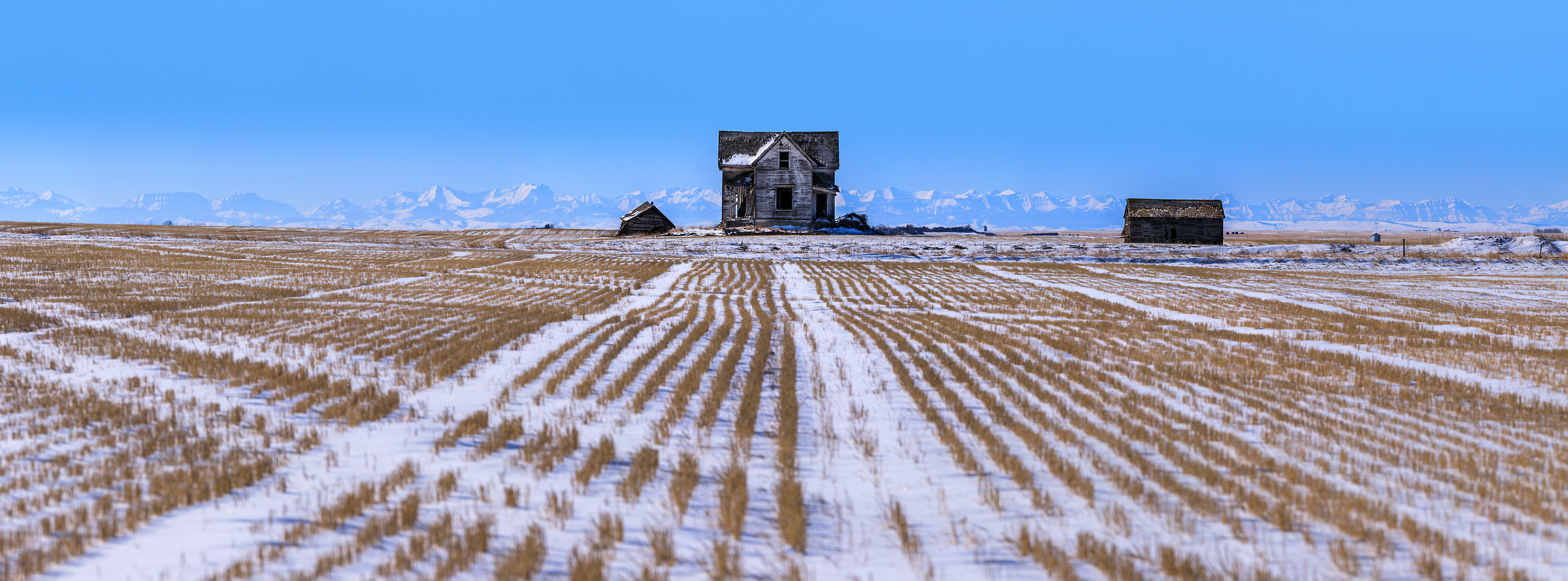 1,052 megapixels! A very high resolution, large-format VAST photo print of an abandoned house in a field on a prairie; landscape photograph created by Scott Dimond in Foothills County, Alberta, Canada.