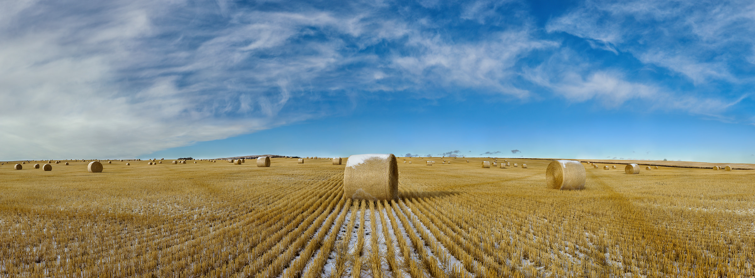2,729 megapixels! A very high resolution, large-format VAST panorama photo of hay fields; landscape photograph created by Scott Dimond in Vulcan County, Alberta, Canada.