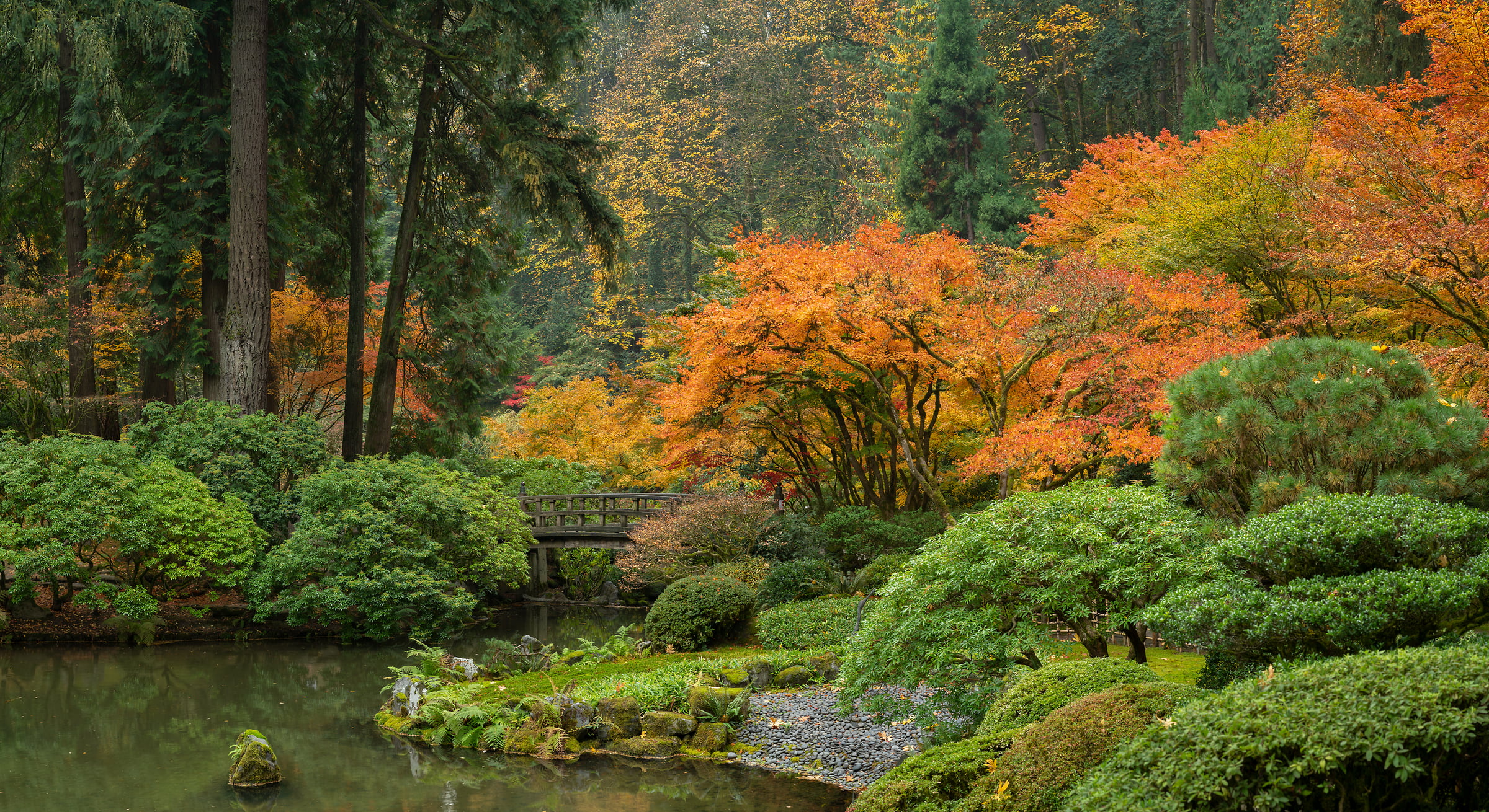 245 megapixels! A very high resolution, large-format VAST photo print of autumn foliage in a garden with a pond; photograph created by Greg Probst in Portland Japanese Garden, Portland, Oregon.