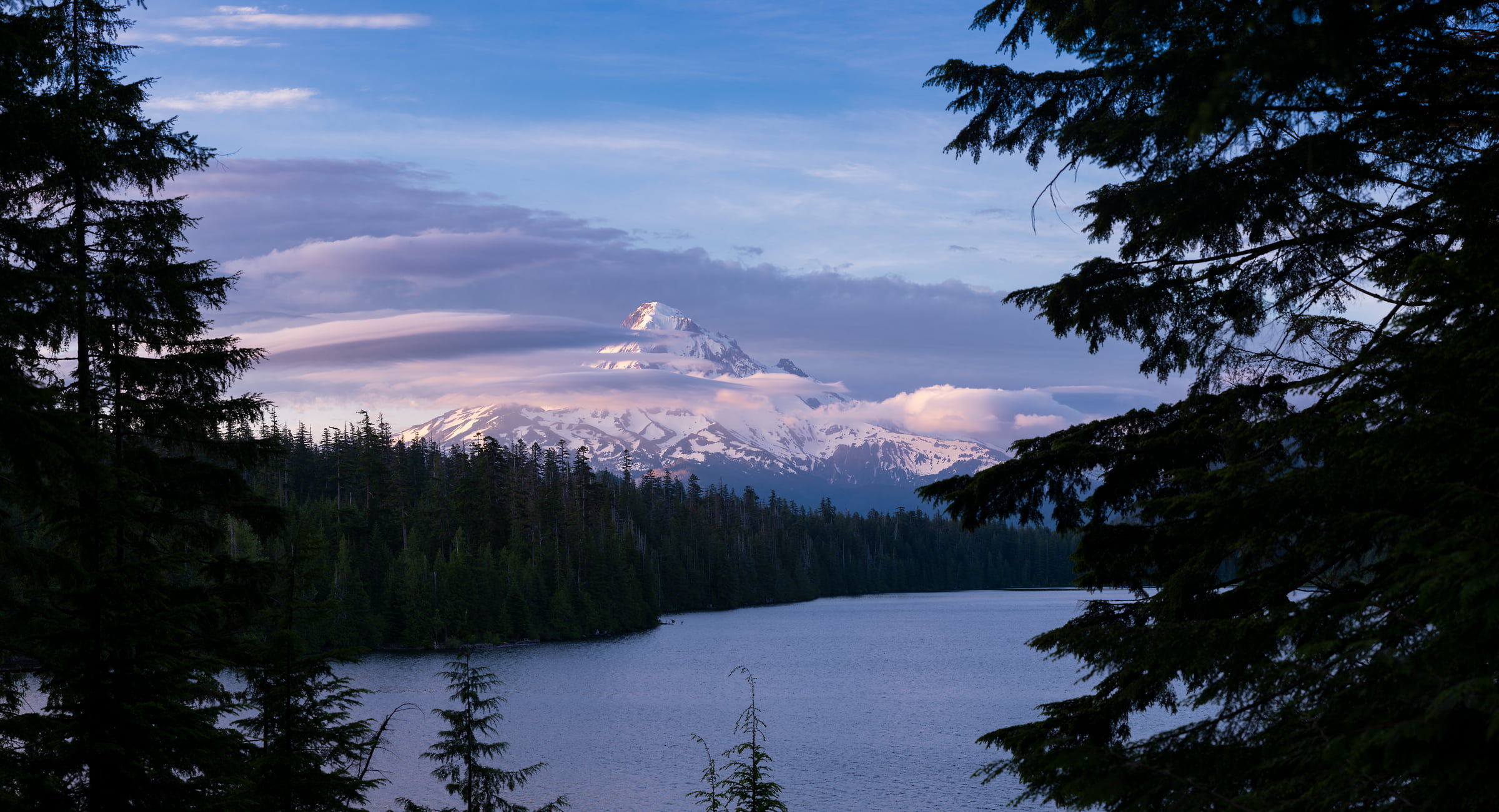 321 megapixels! A very high resolution, large-format VAST photo print of a mountain at sunset with purple clouds, a forest, and a lake; landscape photograph created by Greg Probst in Lost Lake, Mt. Hood National Forest, Oregon, USA.