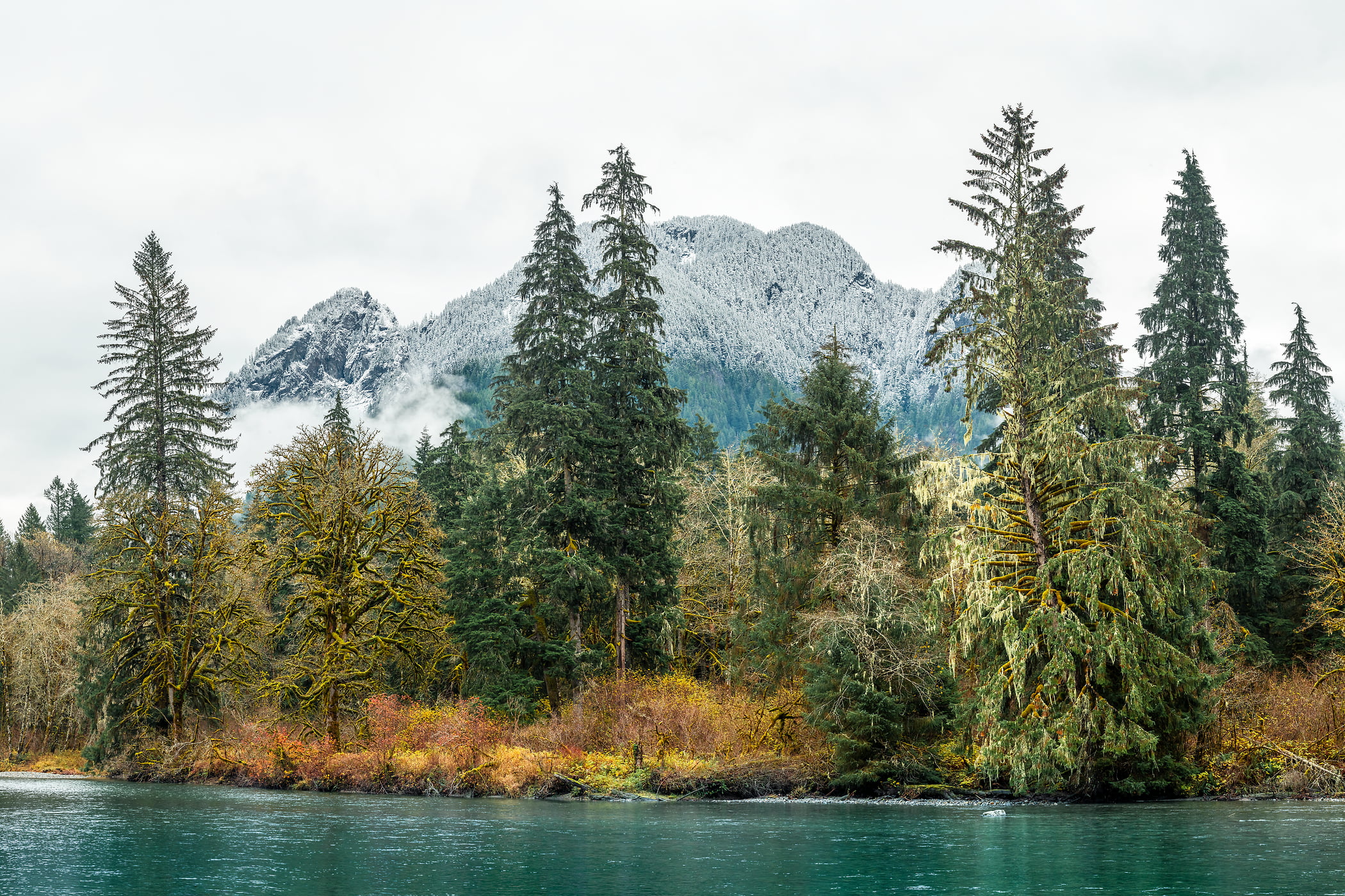 357 megapixels! A very high resolution, large-format VAST photo print of a river with evergreen trees and a mountain; nature photograph created by Scott Rinckenberger in Middle Fork of Snoqualmie River, North Bend, Washington.