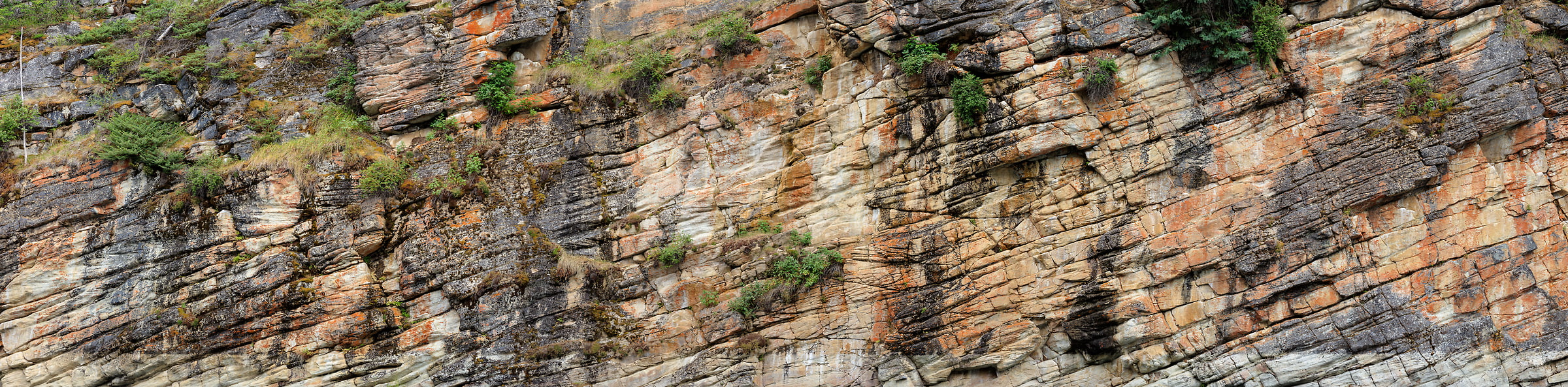 795 megapixels! A very high resolution, large-format VAST photo print of a rock wall; photograph created by Scott Dimond in Jasper National Park, Alberta, Canada.