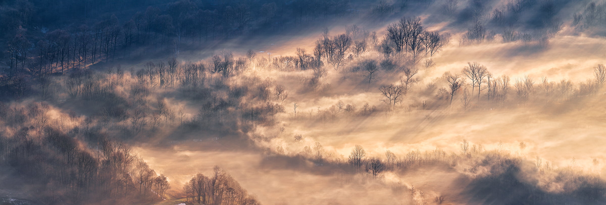 109 megapixels! A very high resolution, large-format VAST photo print of sun rays and trees at sunrise; landscape photograph created by Duilio Fiorille in Avigliana, Piedmont, Italy.