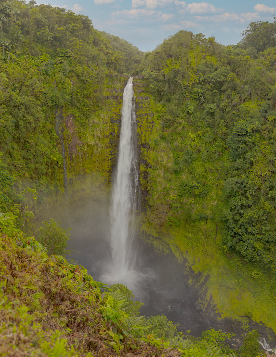 548 megapixels! A very high resolution, large-format VAST photo print of a waterfall surrounded by a lush jungle; nature photograph created by John Freeman in Akaka Falls State Park, Big Island, Hawaii.