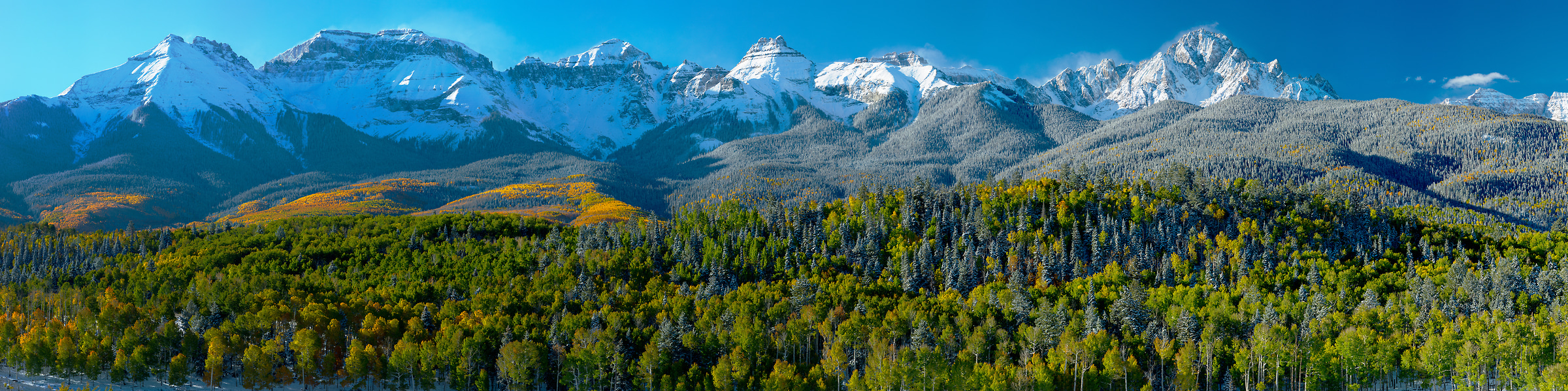 1,152 megapixels! A very high resolution, large-format VAST photo print of a snow-covered mountain range with forests in the foreground; landscape photograph created by John Freeman in Mt. Sneffles, Ridgway, Colorado.