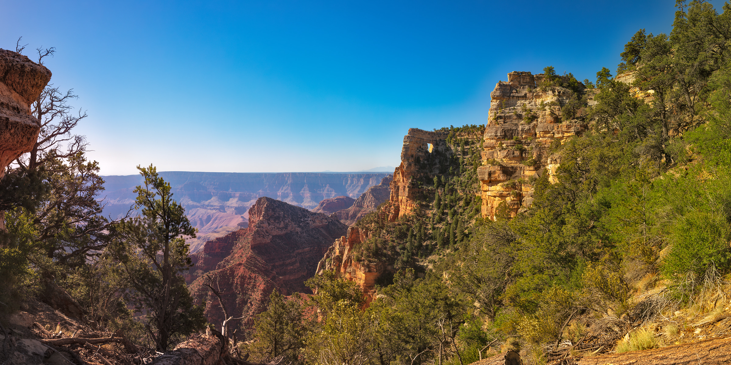 615 megapixels! A very high resolution, large-format VAST photo print of Angles Window at the Grand Canyon; landscape photograph created by John Freeman in Cape Royal, North Rim, Grand Canyon National Park, Arizona.