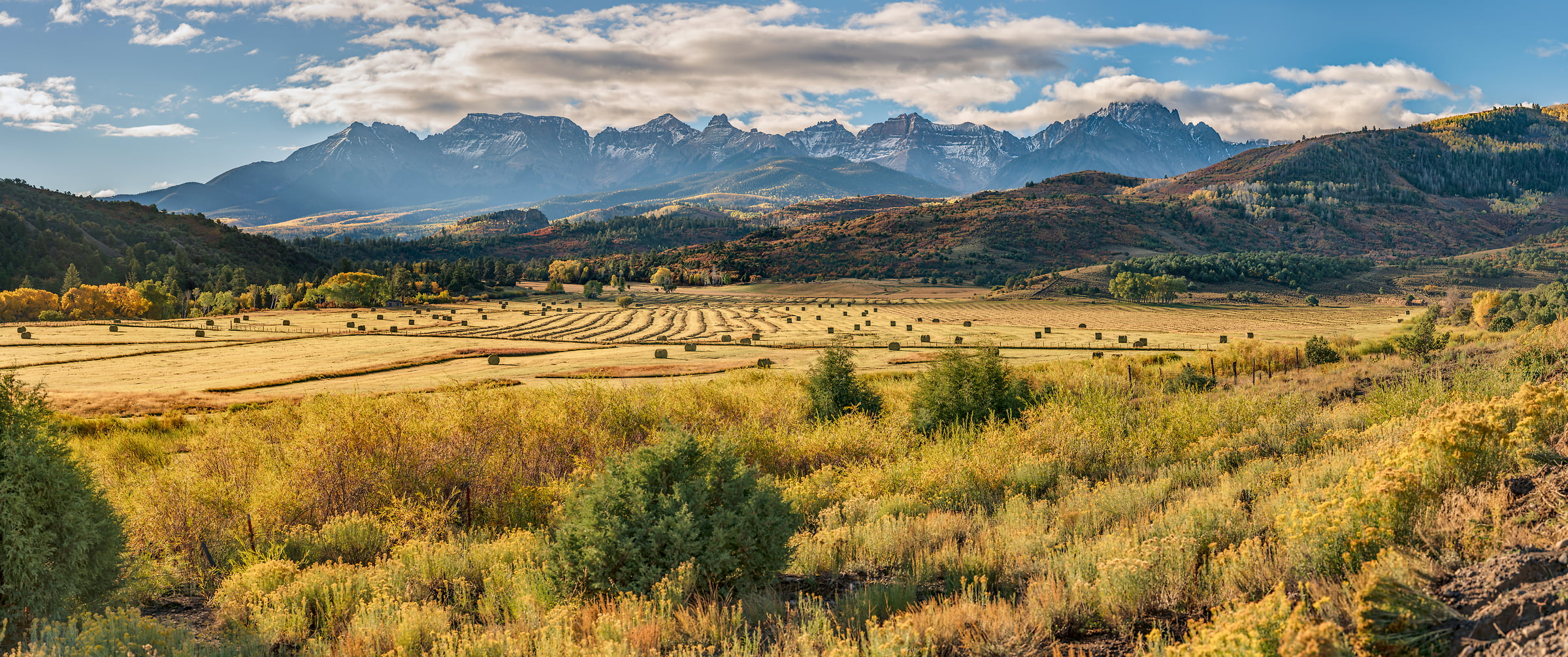 412 megapixels! A very high resolution, large-format VAST photo print of a field and mountain range; landscape photograph created by John Freeman in Last Dollar Road, Ridgway, Colorado.