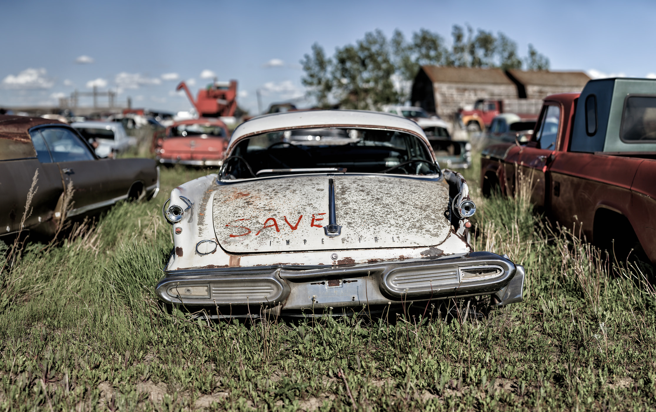 1,636 megapixels! A very high resolution, large-format VAST photo print of an abandoned car in a junkyard; photograph created by Scott Dimond.