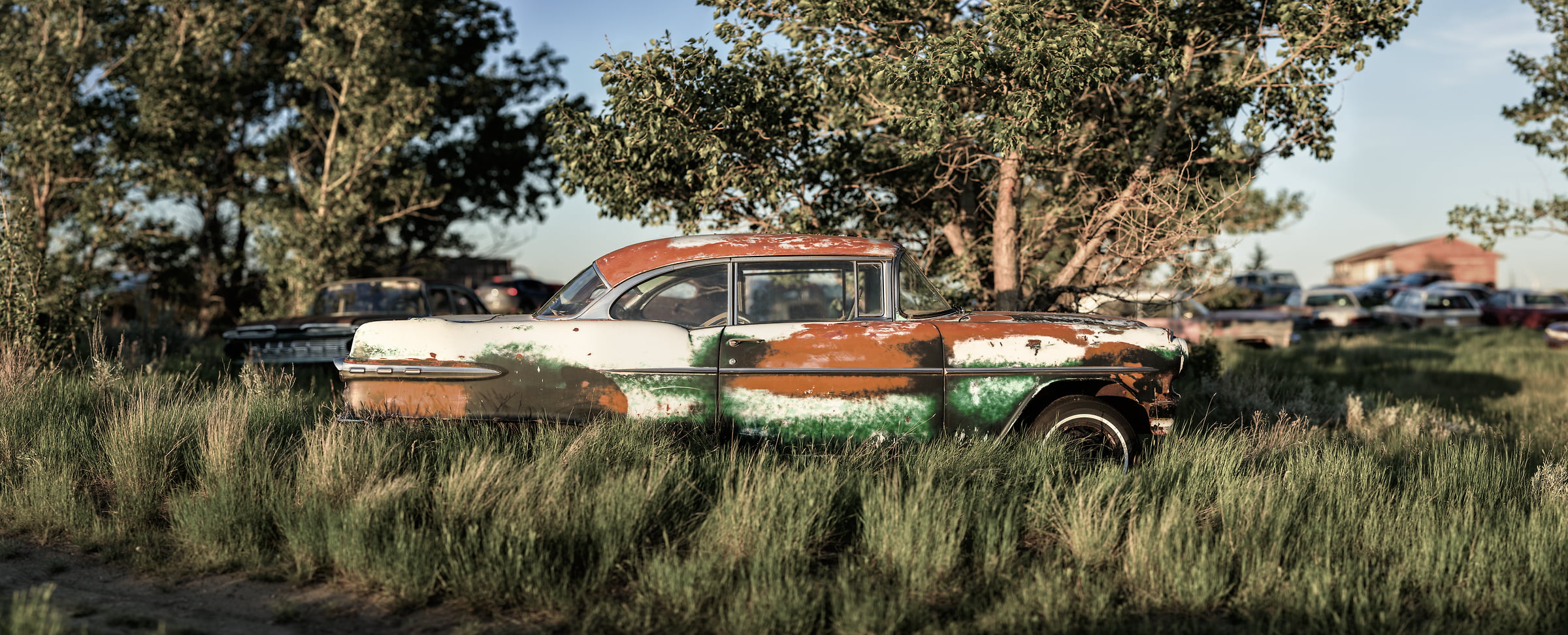 2,292 megapixels! A very high resolution, large-format VAST photo print of a car in a field; nostalgic photograph created by Scott Dimond.