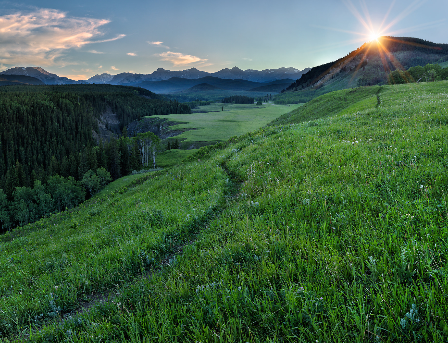 3,375 megapixels! A very high resolution, large VAST photo print of a trail in verdant hills and mountains at sunset; inspirational landscape photograph created by Scott Dimond in Bighorn Sheep Meadow, Kananaskis Country, Alberta Canada.