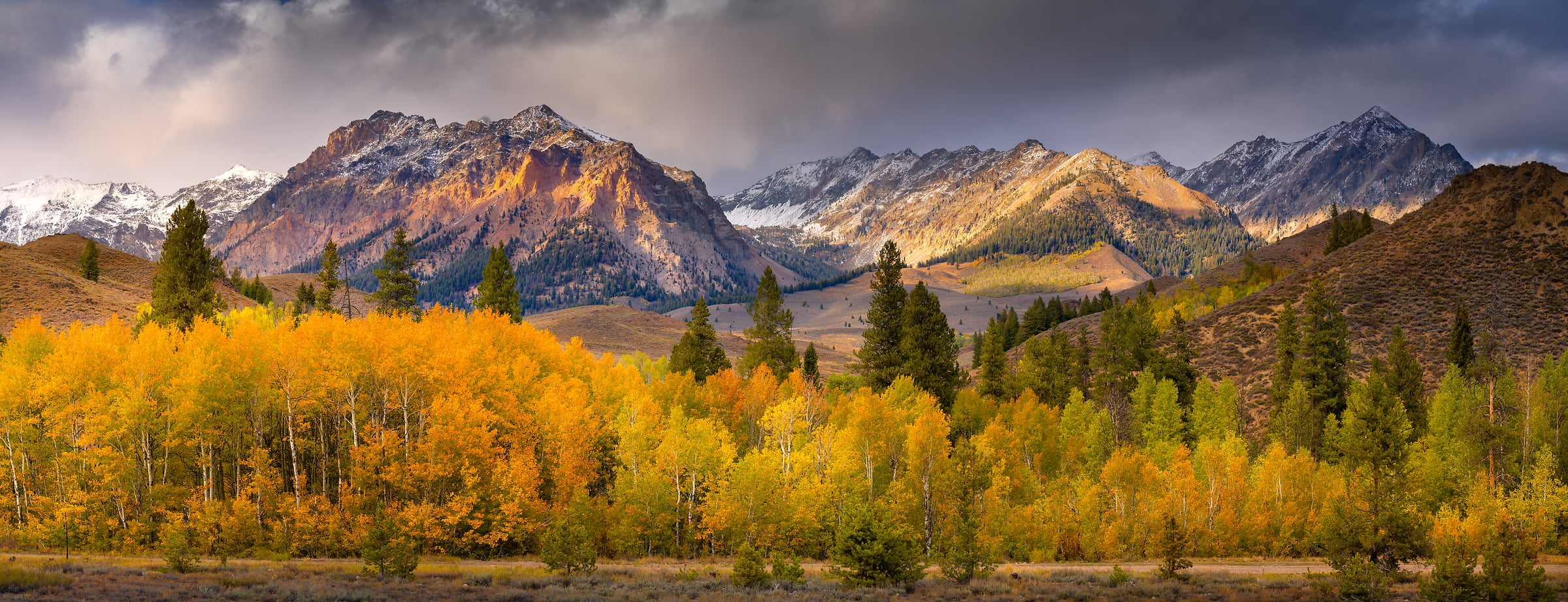 264 megapixels! A very high resolution, large-format VAST photo print of aspen trees in front of a mountain range in autumn; landscape photograph created by Jeff Lewis in Ketchum, Idaho.
