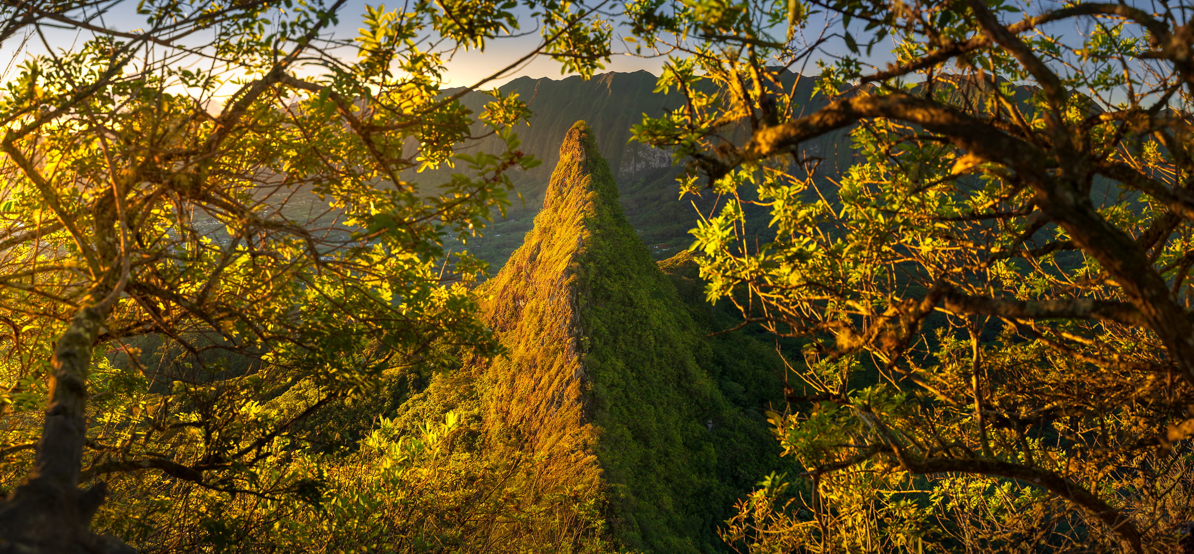 320 megapixels! A very high resolution artistic photo of a mountain ridge with jungle in the foreground; nature landscape photograph created by Jeff Lewis in Kaneohe, Hawaii.