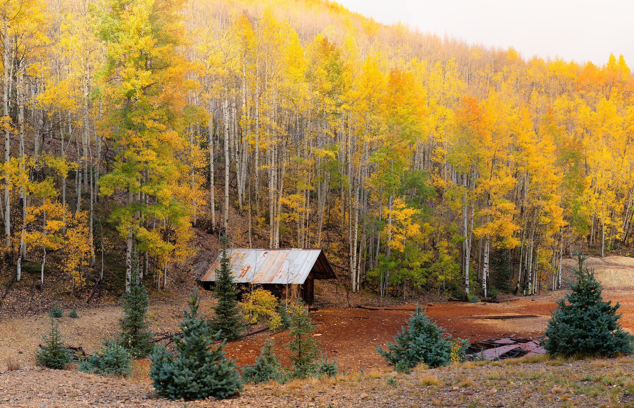 573 megapixels! A very high resolution, large-format VAST photo print of a Colorado mine in front of autumn foliage on aspen trees; photograph created by Phillip Noll in Ironton Park, Colorado.