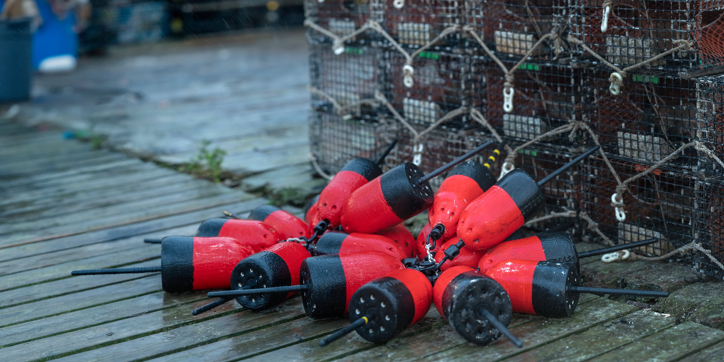 347 megapixels! A very high resolution, large-format artistic photograph of lobstering equipment including traps and buoys; fine art photograph created by Aaron Priest in Baldwin Corners, Bernard, Maine.