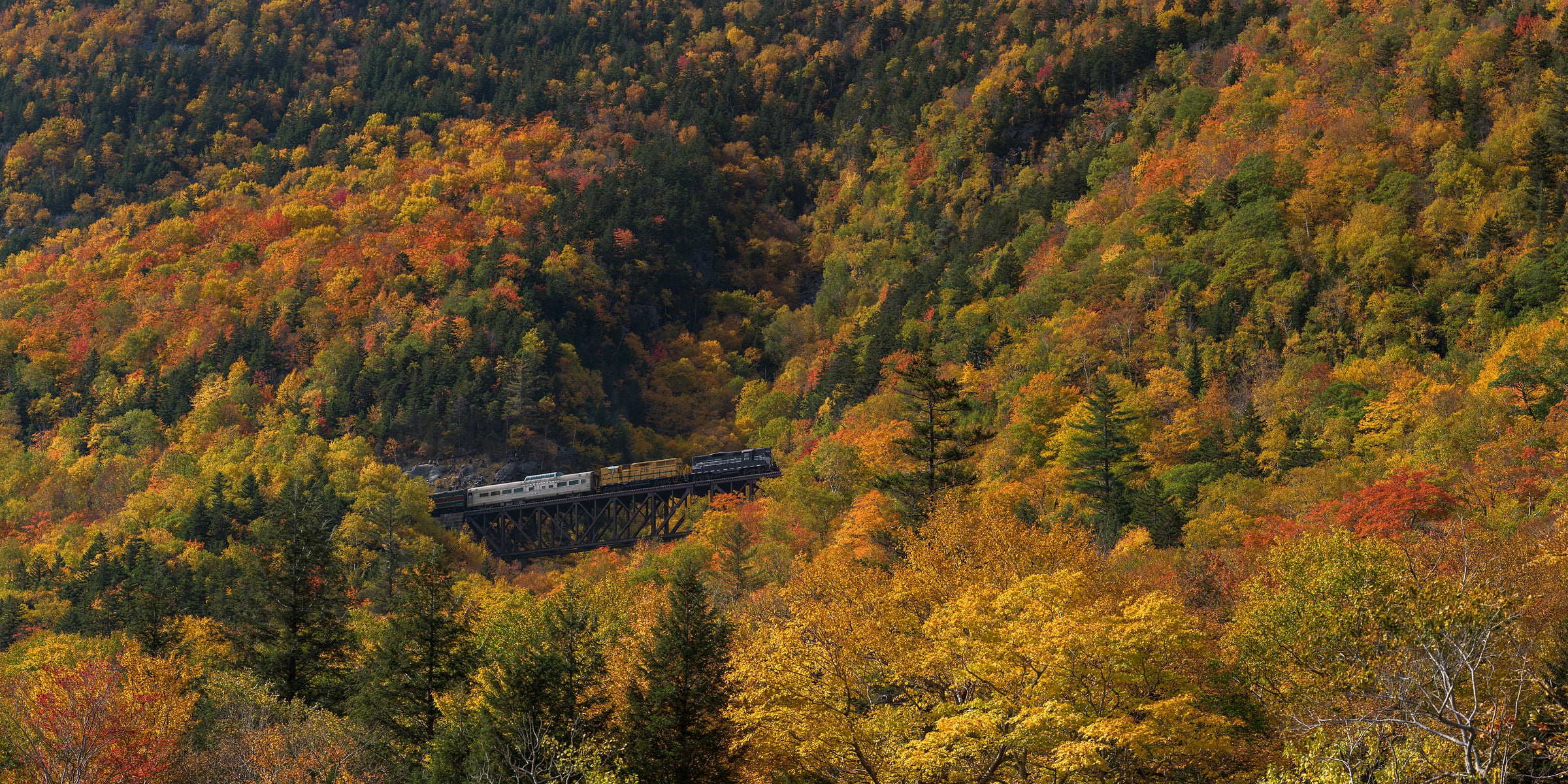 301 megapixels! A very high resolution, large-format VAST photo print of a train going over a trestle bridge amid autumn foliage on a mountain; fine art photograph created by Aaron Priest in Hart's Location, New Hampshire.
