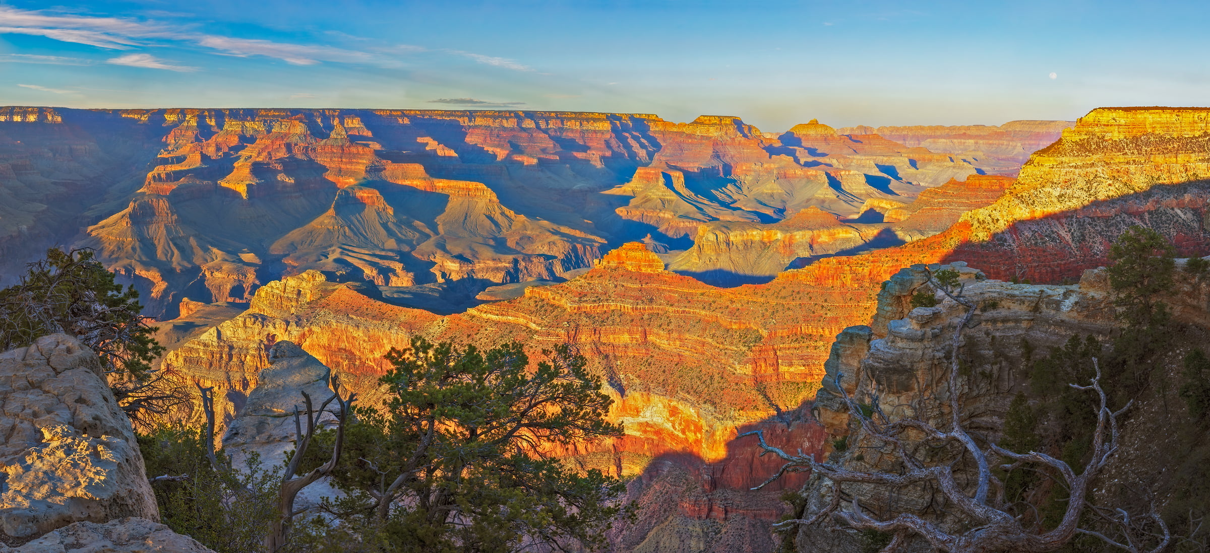 2,278 megapixels! An ultra-high-resolution, large-format VAST photo print of the Grand Canyon at sunset; landscape photograph created by John Freeman in Rim Trail, South Rim, Grand Canyon National Park, Arizona.