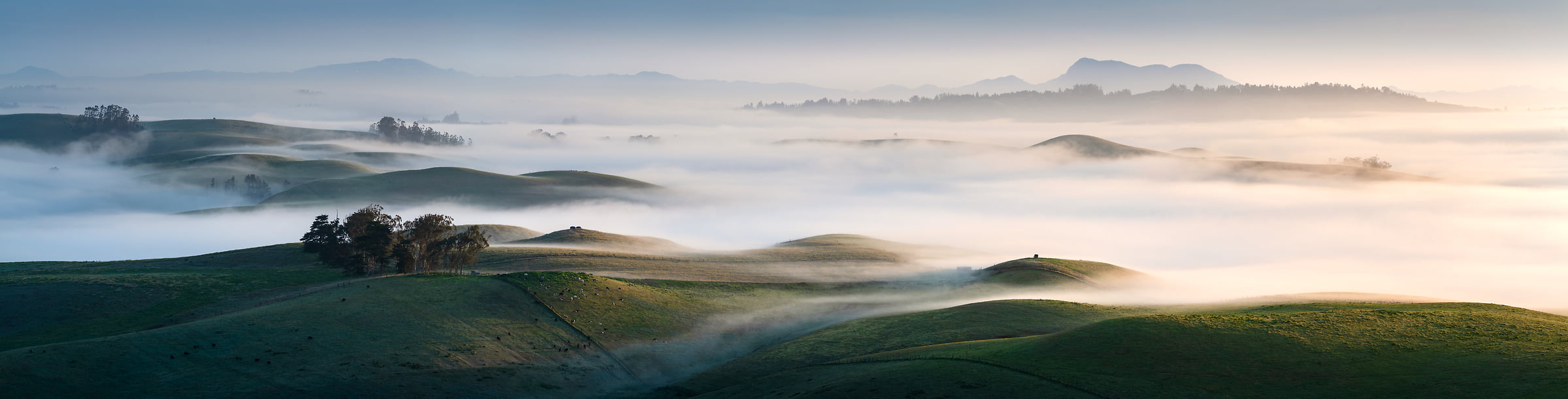 210 megapixels! A very high resolution, large-format VAST photo print of a Sonoma landscape with fog and rolling hills; photograph created by Jeff Lewis in Marin County, California.