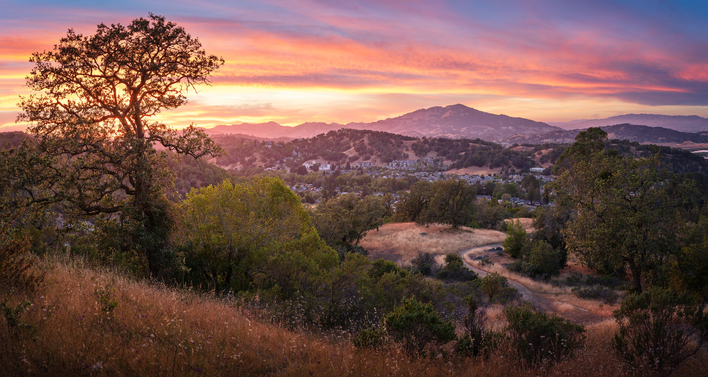 184 megapixels! A very high resolution, large-format VAST photo print of sunset in Novato, California; landscape photograph created by Jeff Lewis.