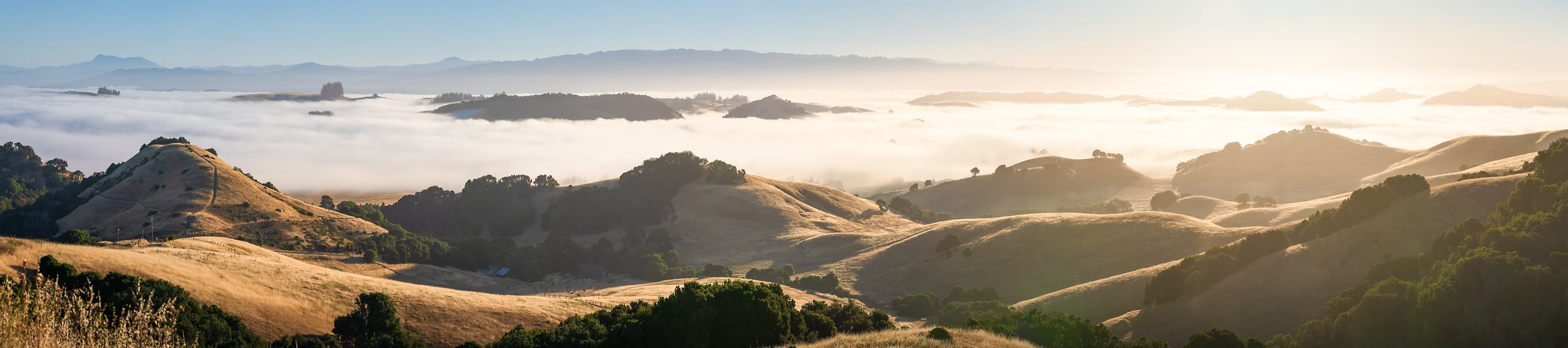291 megapixels! A very high resolution, large-format VAST photo print of rolling hills at sunrise with fog; panorama photograph created by Jeff Lewis in Petaluma, California.