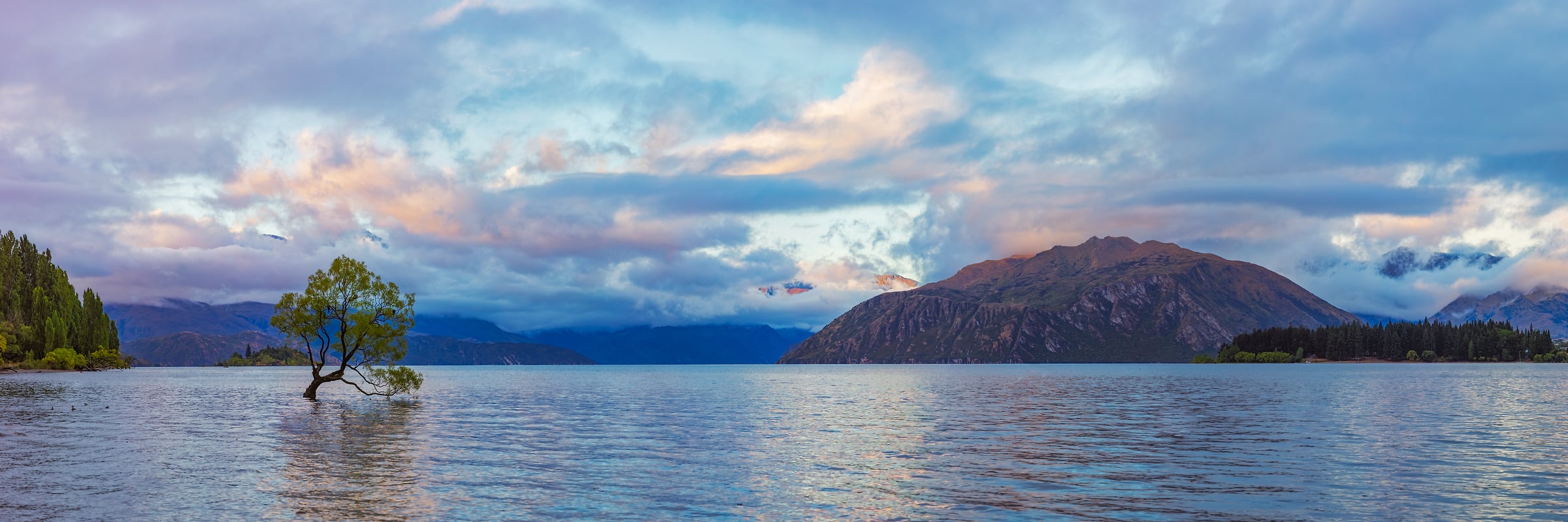 736 megapixels! A very high resolution, large-format VAST photo print of a beautiful lake with a tree; panorama photograph created by John Freeman in Wanaka Lake, Wanaka, New Zealand.
