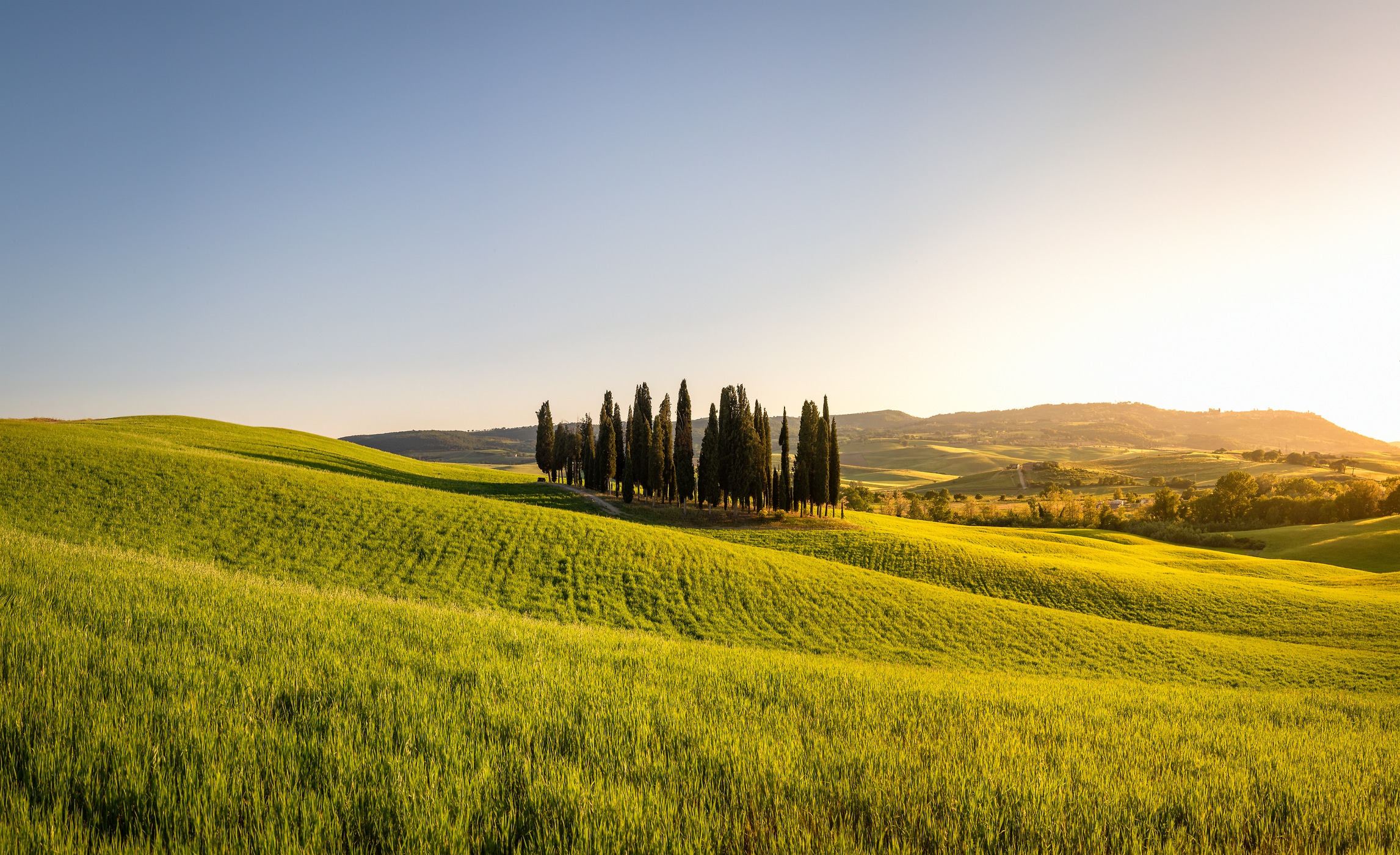 201 megapixels! A very high resolution, large-format VAST photo print of a landscape scene in Tuscany, Italy with cypress trees on a hill at sunset; art photograph created by Justin Katz in Cipressi di San Quirico d'Orcia, Tuscany, Italy.