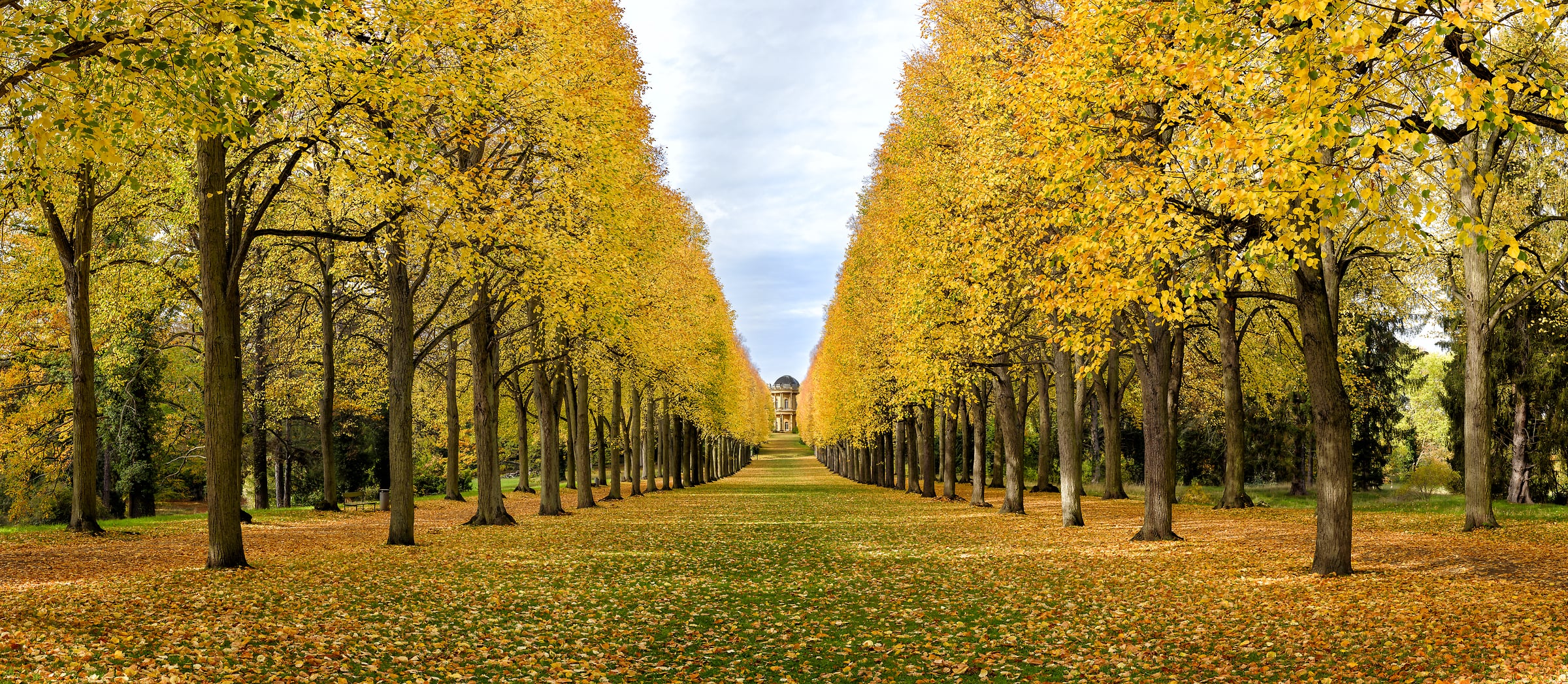 218 megapixels! A very high resolution, large-format VAST photo print of Sanssouci Park in autumn; photograph created by Scott Dimond in Schlosspark Sanssouci, Potsdam, Germany.