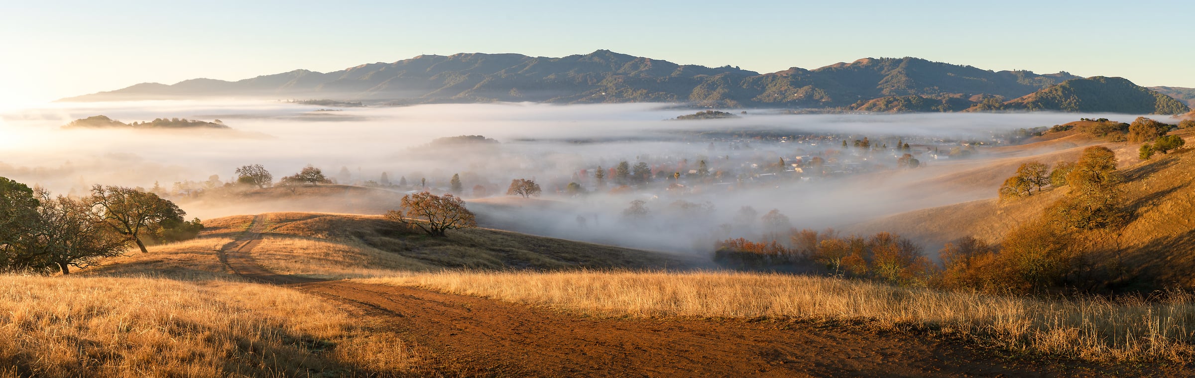 218 megapixels! A very high resolution, large-format VAST photo print of hills, a walking trail, golden grass, fog and distant mountains on beautiful morning with the sun rising; landscape photograph created by Jeff Lewis in Marin County, California.