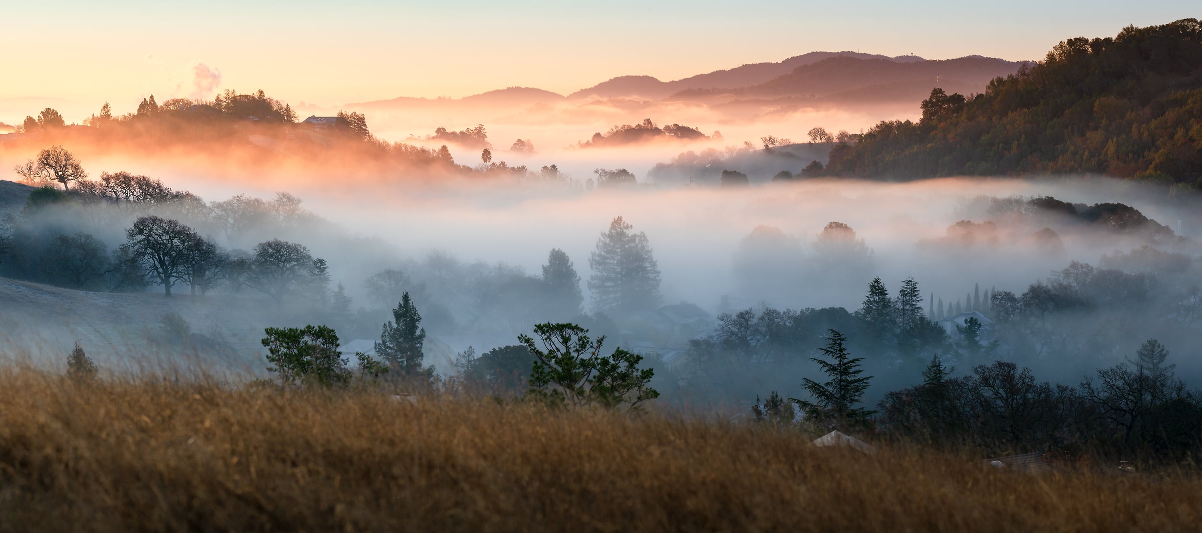 173 megapixels! A very high resolution, large-format VAST photo print of a beautiful sunrise with morning fog, mist, fields, trees, hills, and mountains in the distance; landscape photograph created by Jeff Lewis in Marin County, California.