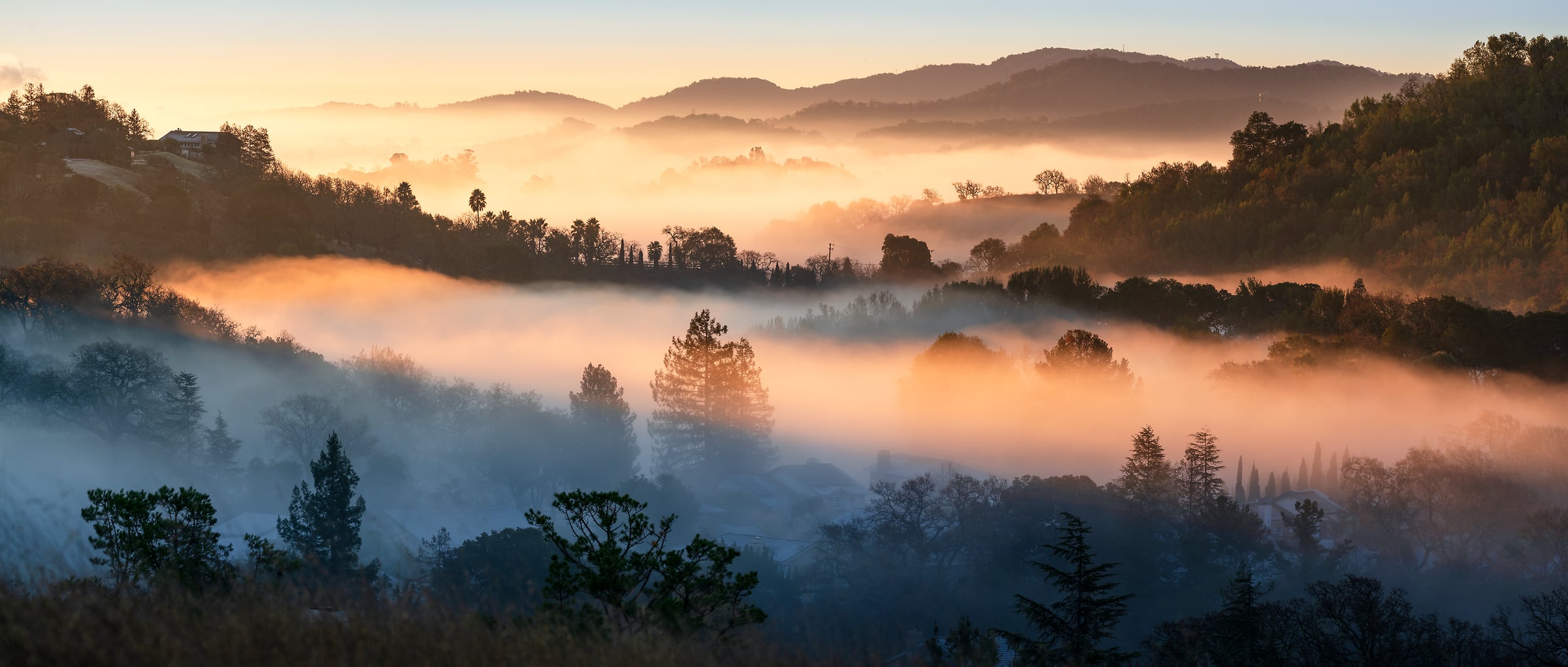 104 megapixels! A very high resolution, large-format VAST photo print of sun rays at sunrise in the morning with hills, trees, fog, and mist; landscape photograph created by Jeff Lewis in Marin County, California.
