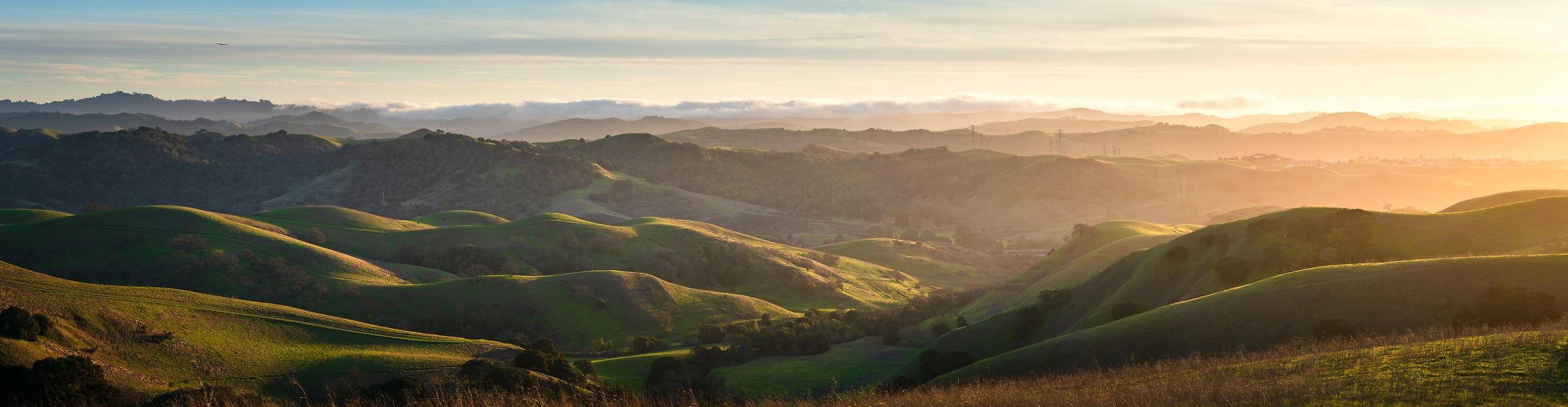 383 megapixels! A very high resolution, large-format VAST photo print of rolling hills at sunset; landscape photograph created by Jeff Lewis of the East Bay hills in the San Francisco Bay Area, California.