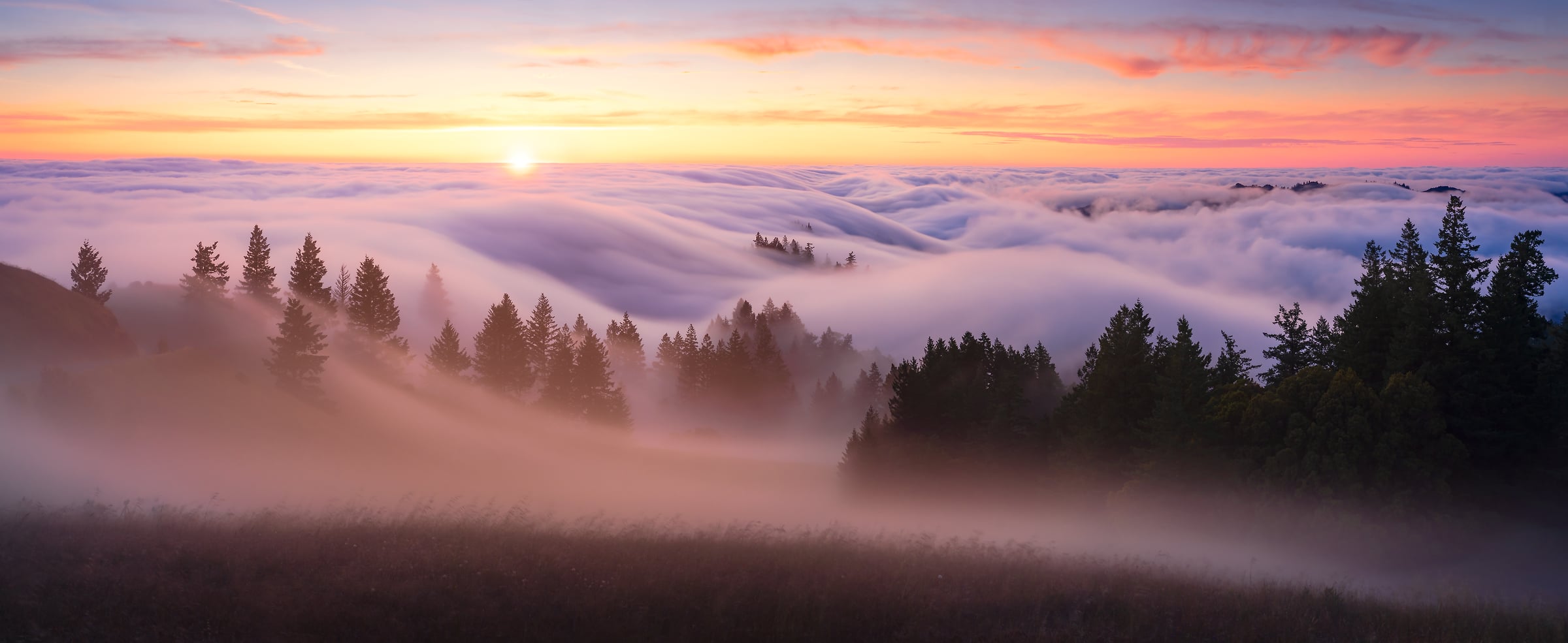 96 megapixels! A very high resolution, large-format VAST photo print of a beautiful sunset over fog with evergreen trees in a field; landscape photograph created by Jeff Lewis in Marin County, California.