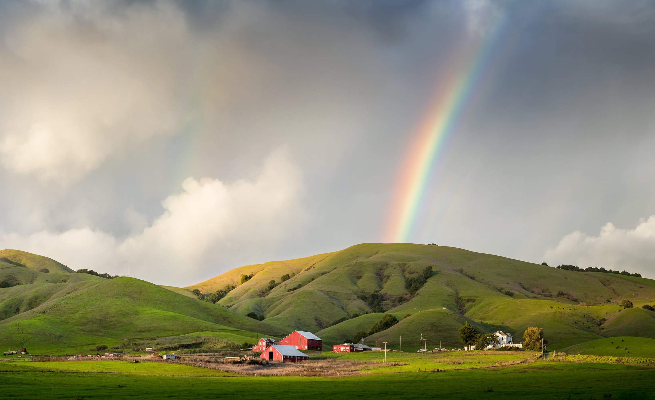 143 megapixels! A very high resolution, large-format VAST photo print of a farm with a red barn, grassy hills, and a rainbow; landscape photograph created by Jeff Lewis in Marin County, California.