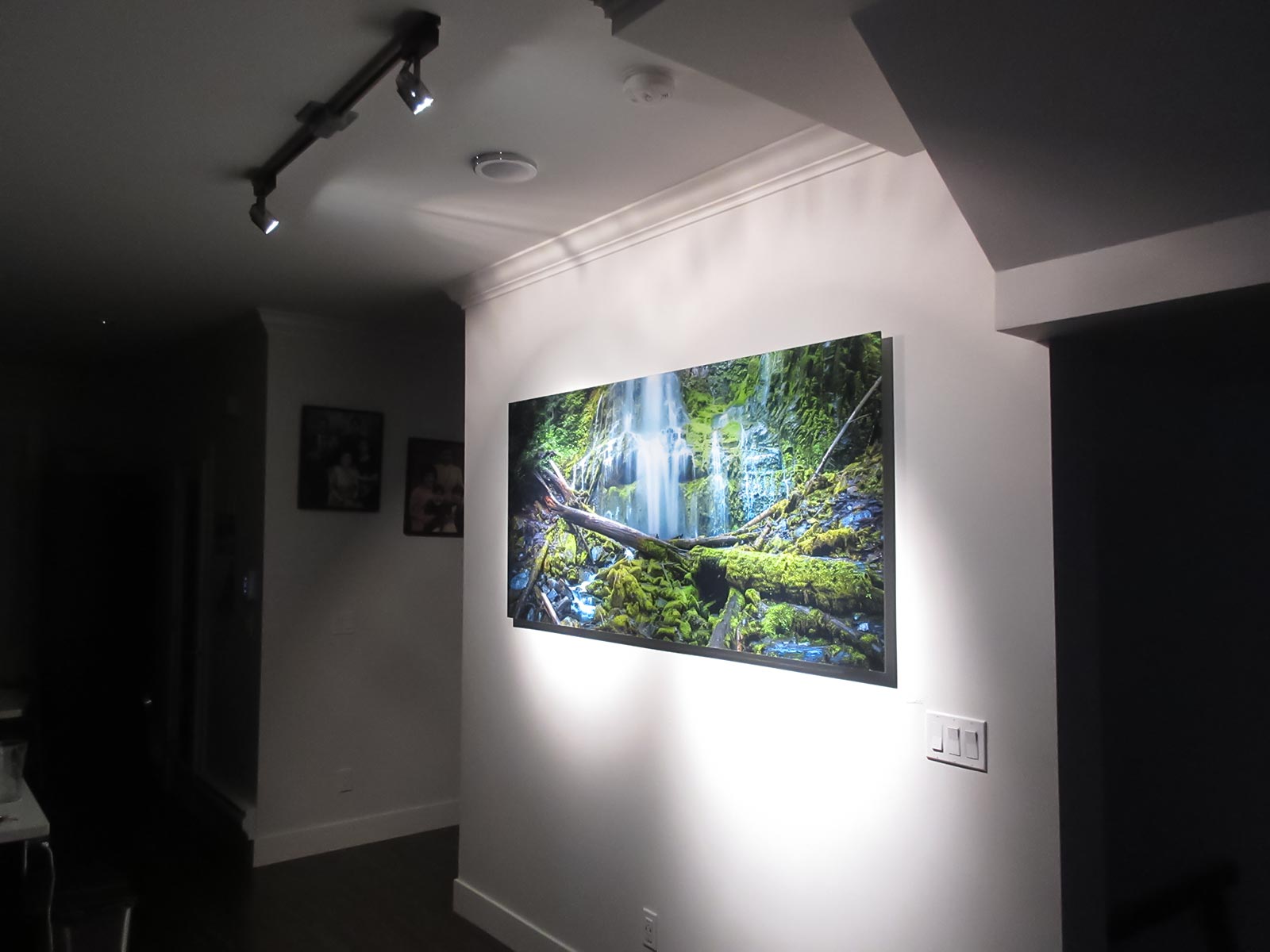 Whispering Green", a VAST photo by Tim Shields hanging on a residential home wall