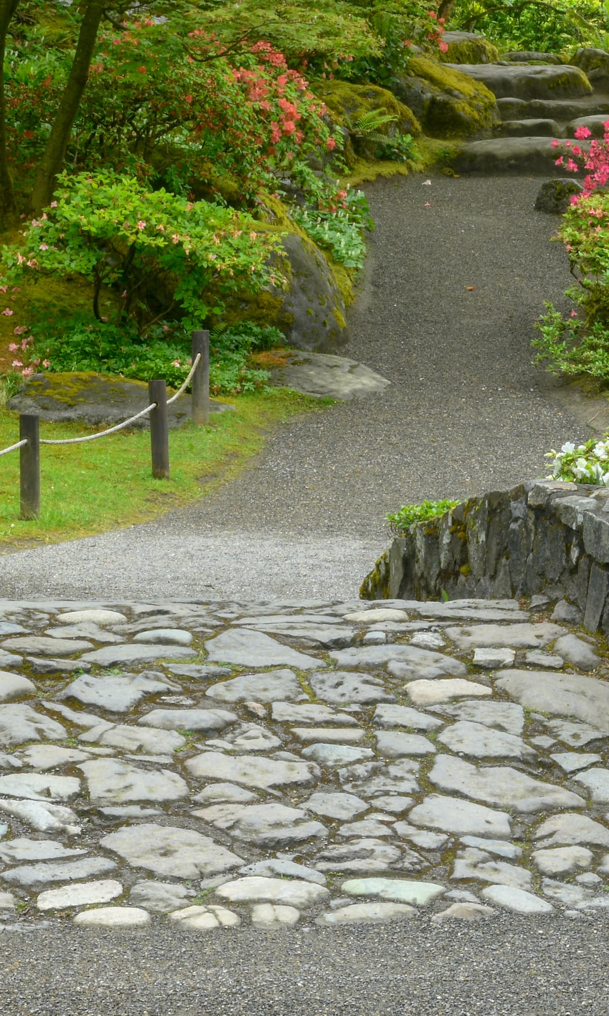 Japanese Flower Garden Stone Path