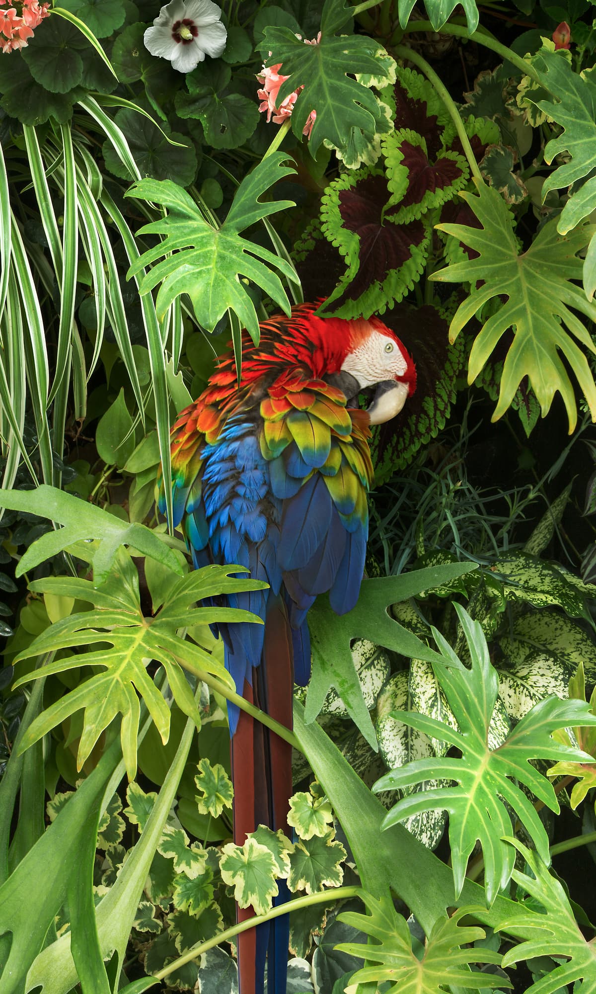 Jungle Artwork - Fine Art Prints by VAST